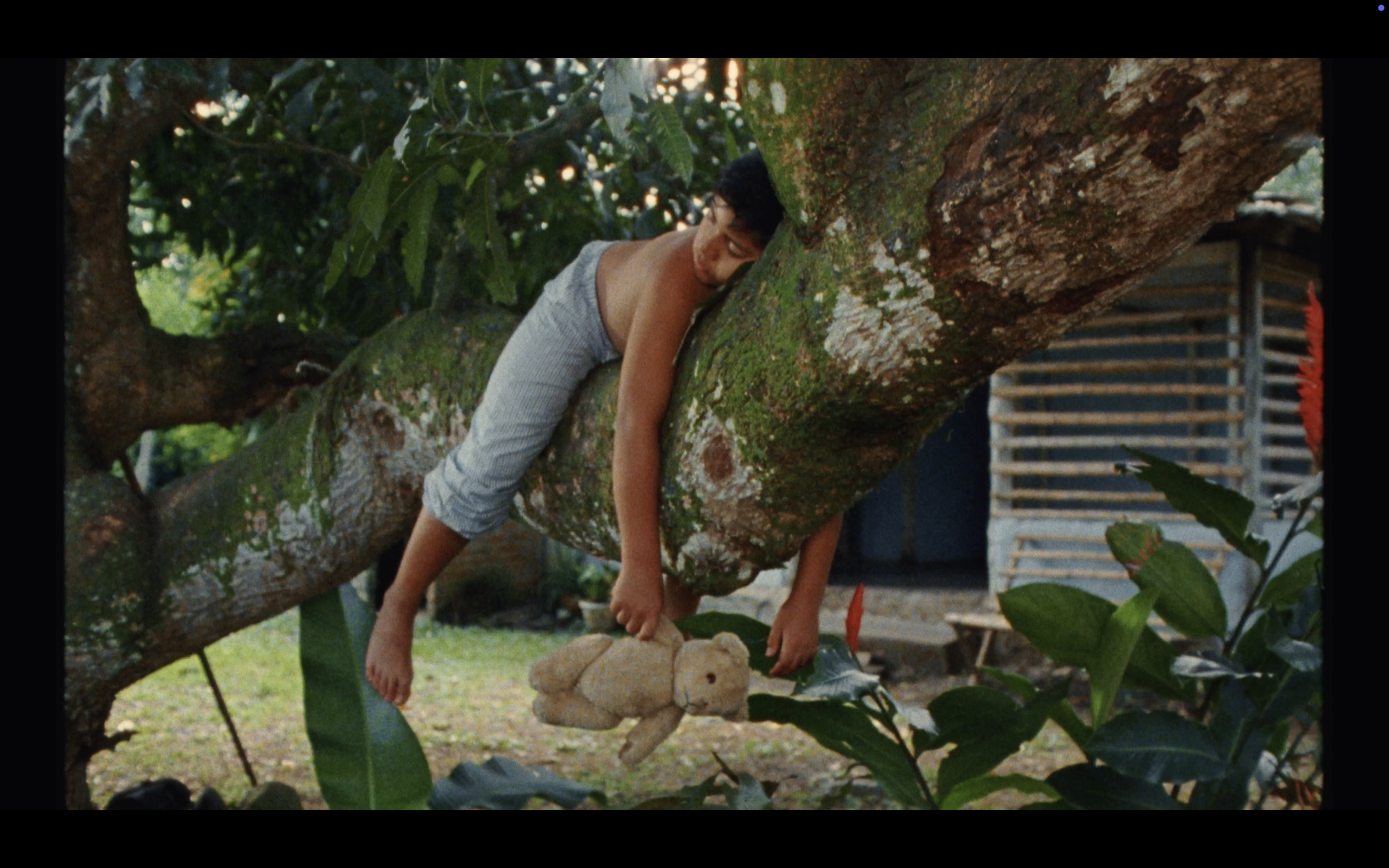 Screenshot 2025-07-02 at 5.05.16 PM.png