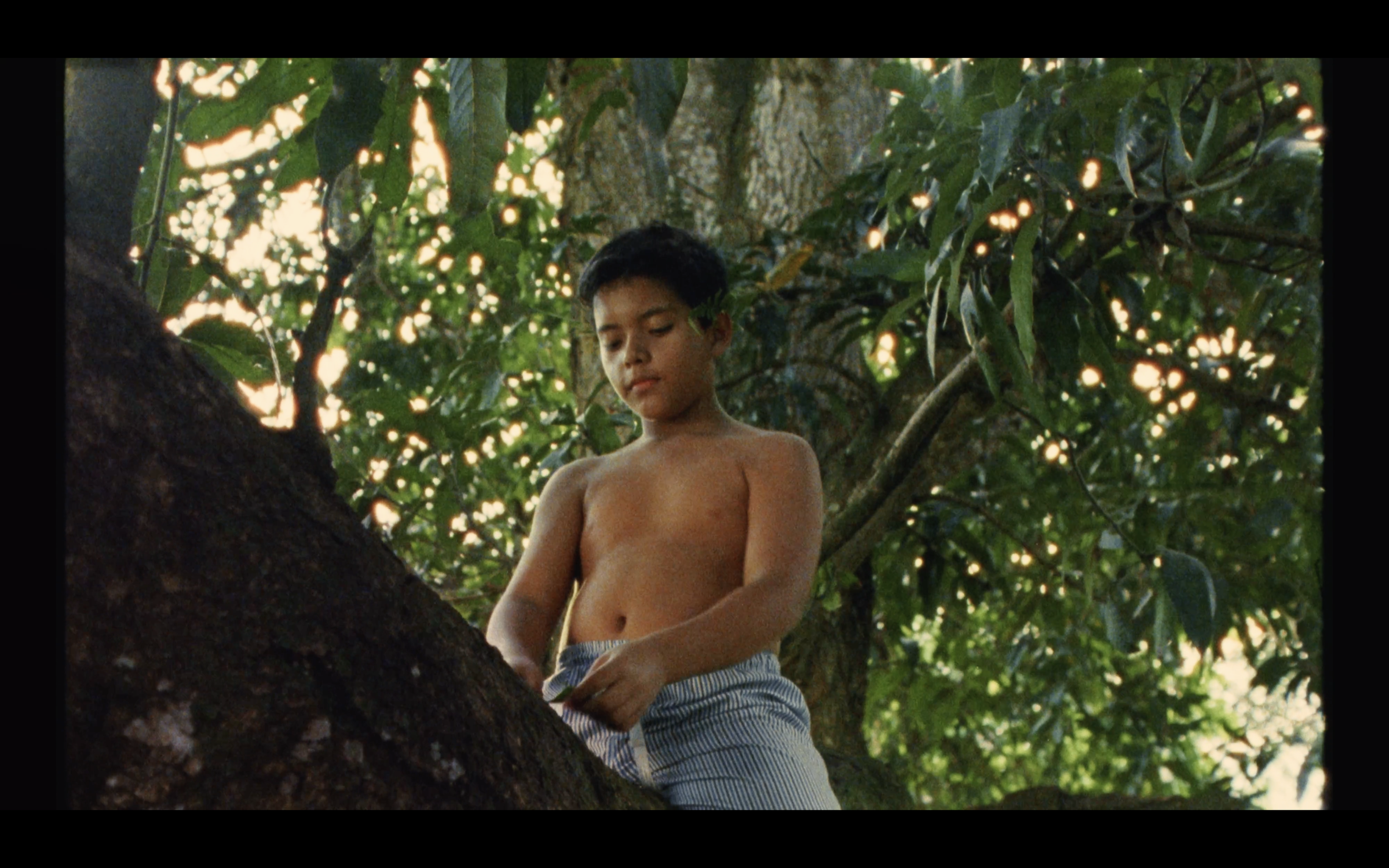 Screenshot 2025-07-02 at 5.05.08 PM.png