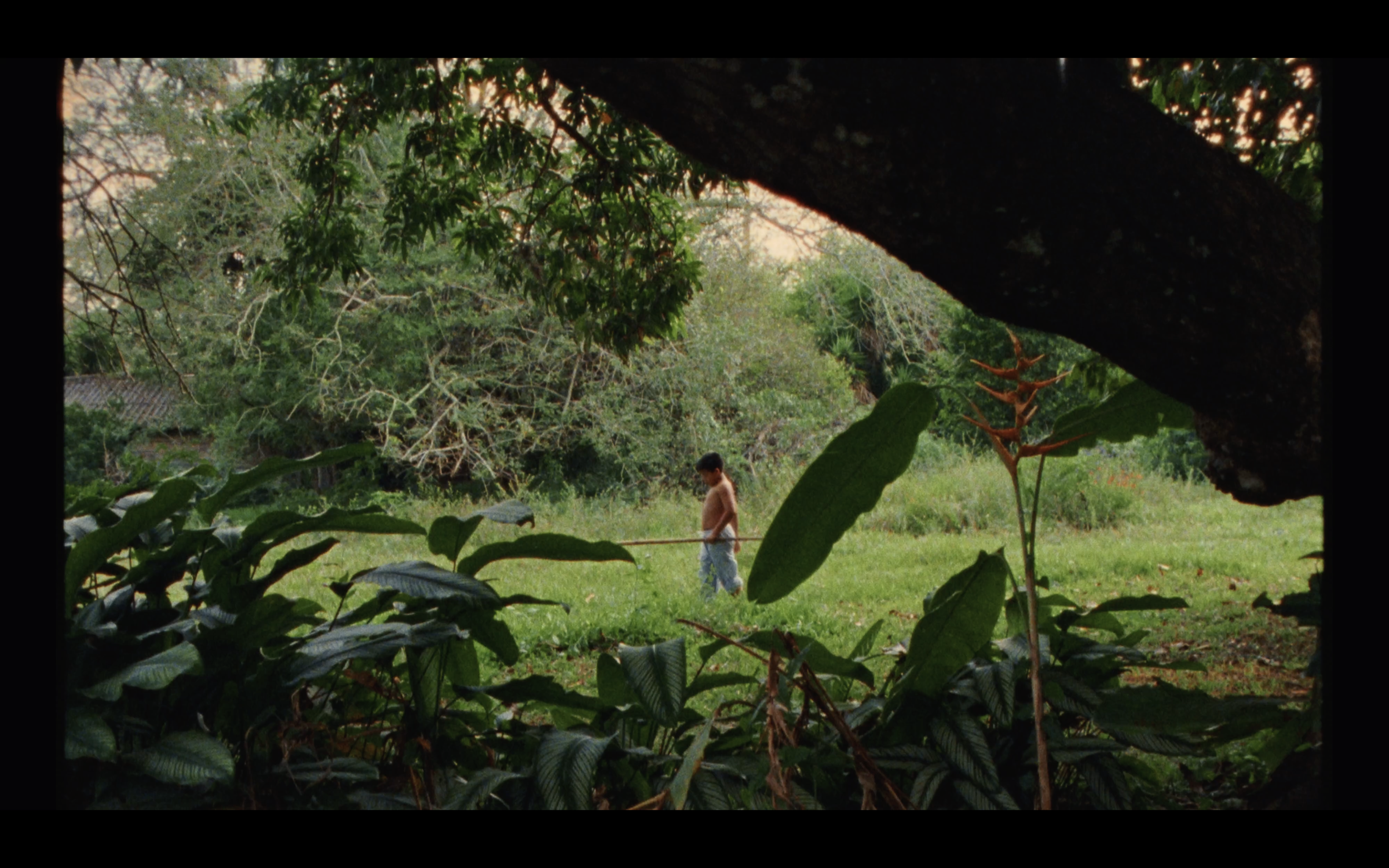 Screenshot 2025-07-02 at 5.04.43 PM.png