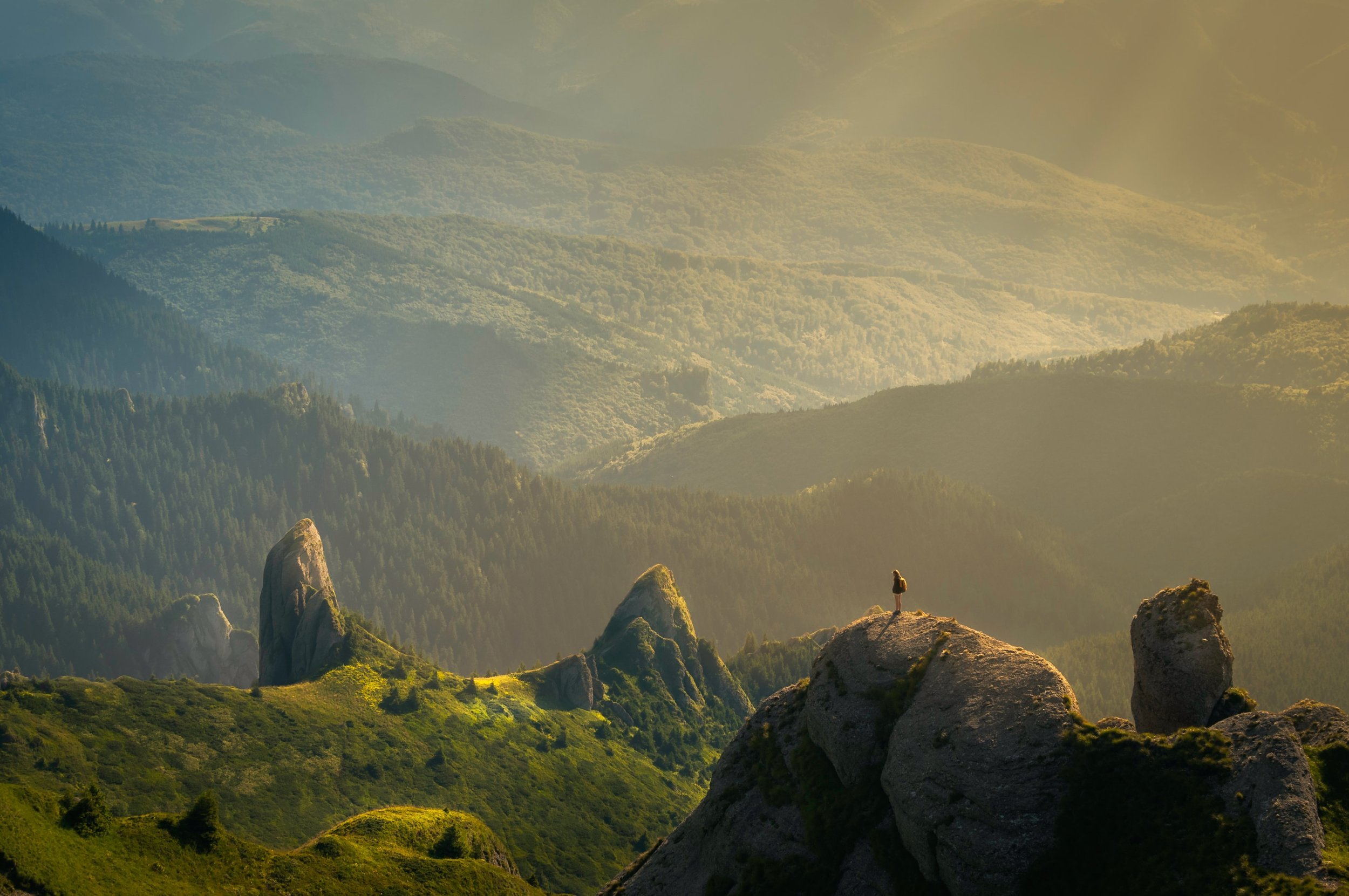 THE ART + SCIENCE OF MEDITATION with Richard Miller (Online)