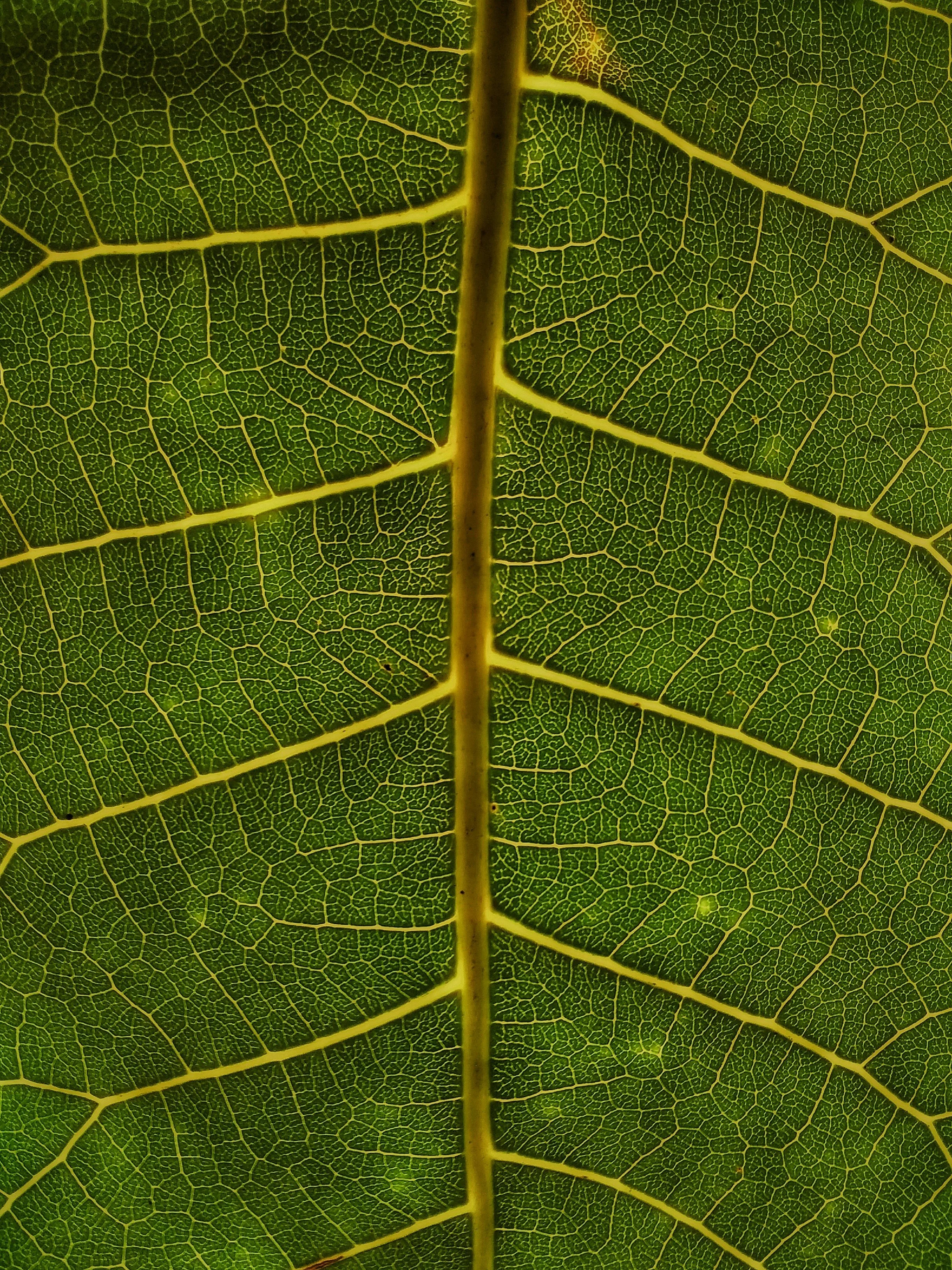 basil-james-PNUL-_WeNjY-unsplash.jpg
