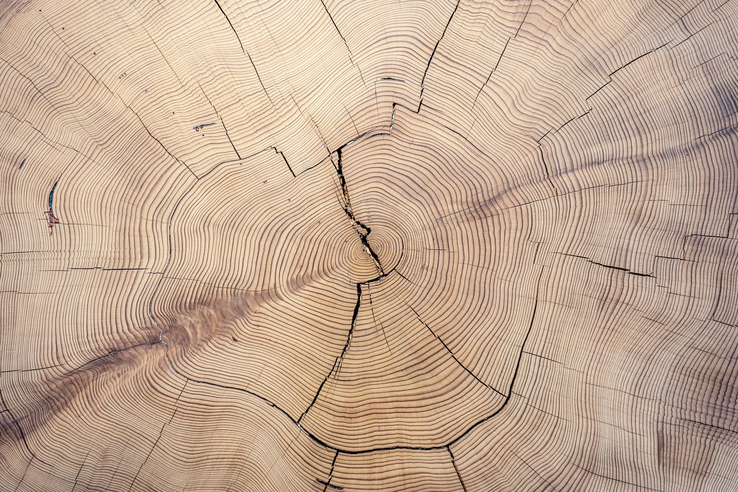 Chinook Wood Products
