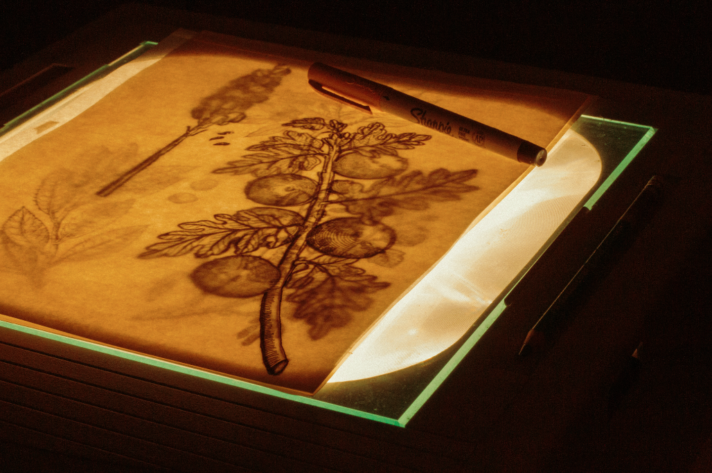 Image Tracing ideas for Public Gardens LLC