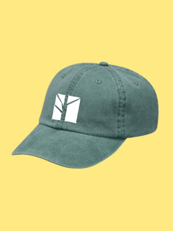 Adult Cap, Assorted colors