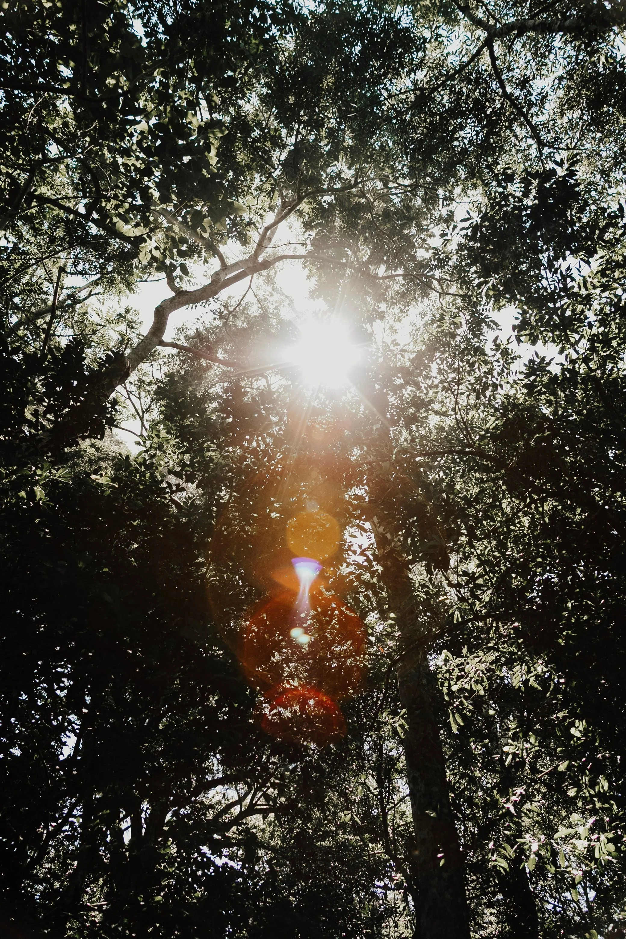 Total Solar Eclipse In Leo 2026: The Death of Your Old Identity