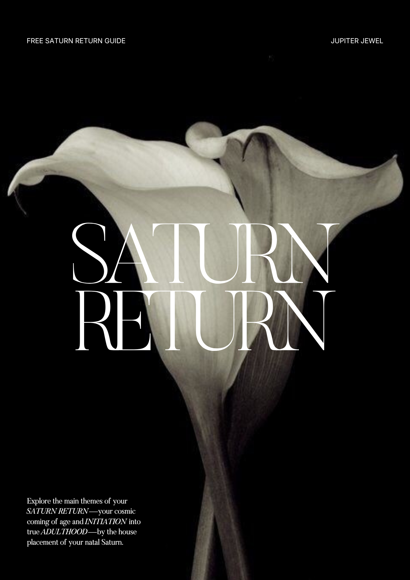 THE SATURN RETURN BLUEPRINT (FREE)