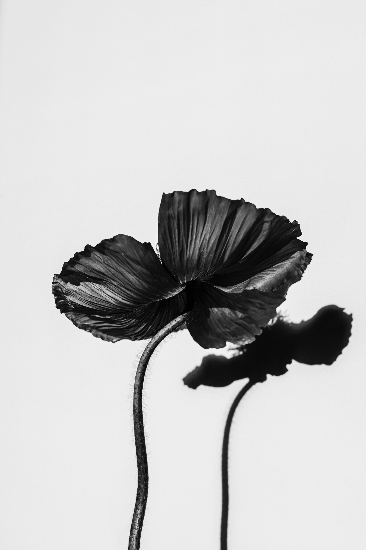 February 2026: A Rare Redirection