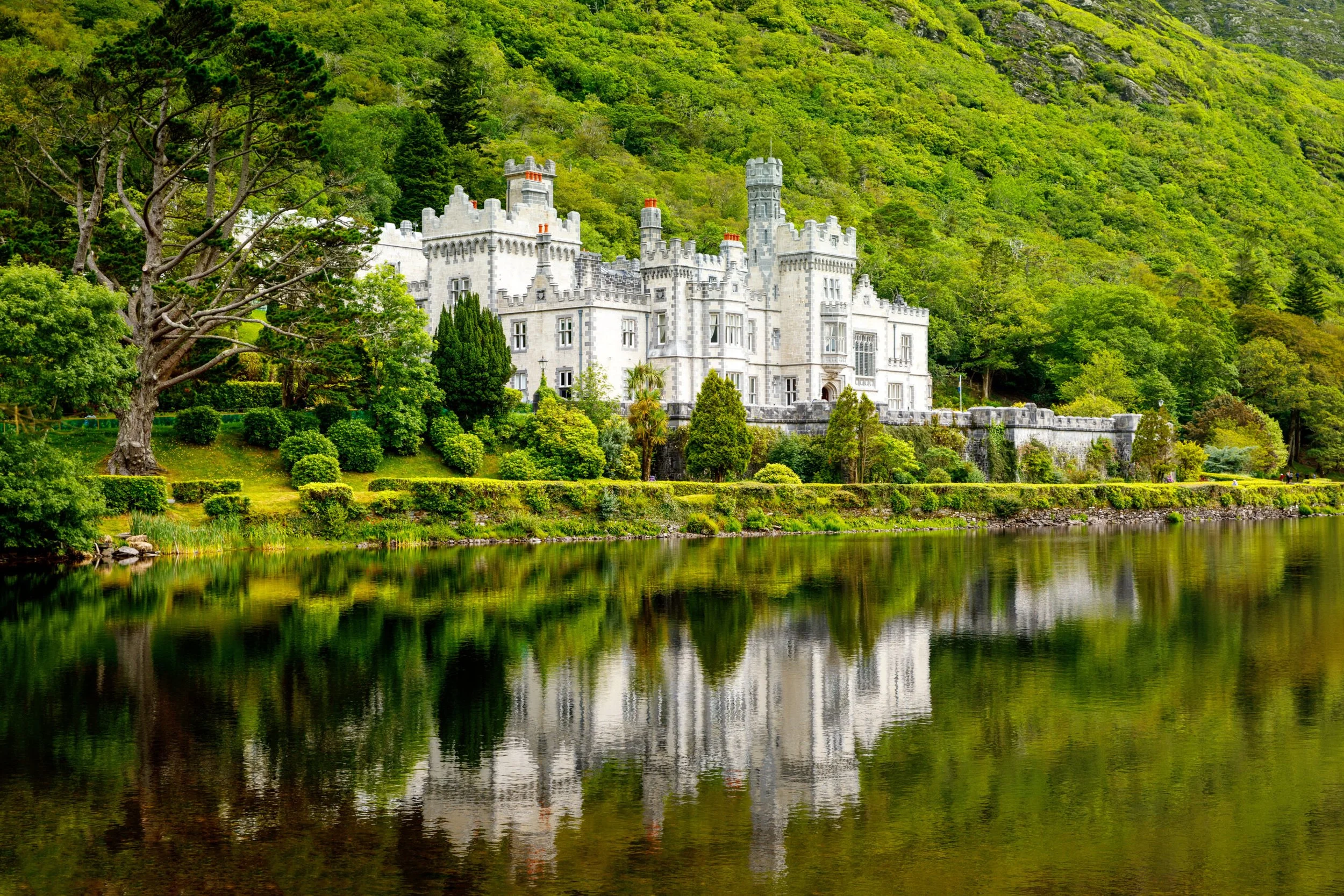 Emerald Odyssey: Ireland's Natural Wonders