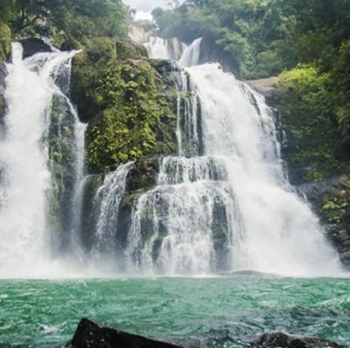 Imiloa Costa Rica (Copy)