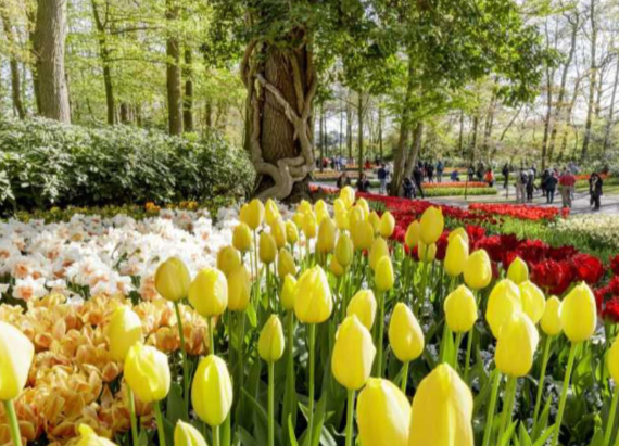 Barcelona, Dubrovnik, and Amsterdam