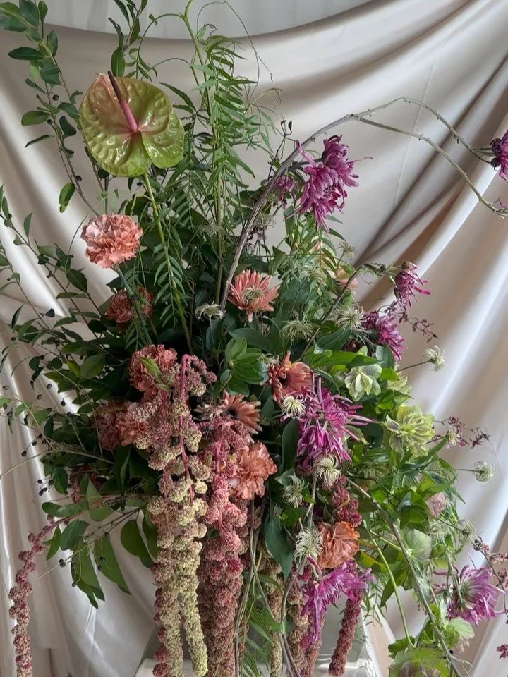 Silky dreams taking over this week