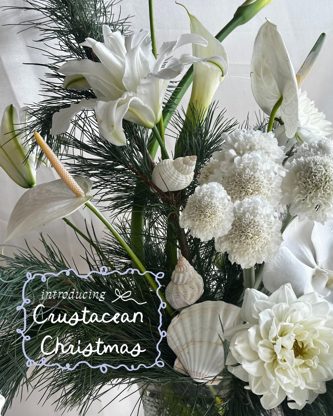 CRUSTACEAN CHRISTMAS IS HERE// 🦞🐚🐟for those who refuse to do traditional. Bring the drama with 6 unconventional sea-inspired arrangements to choose from. 

Order your holiday florals via our link in bio or furiosaflowers.com/shop-flowers/crustacea