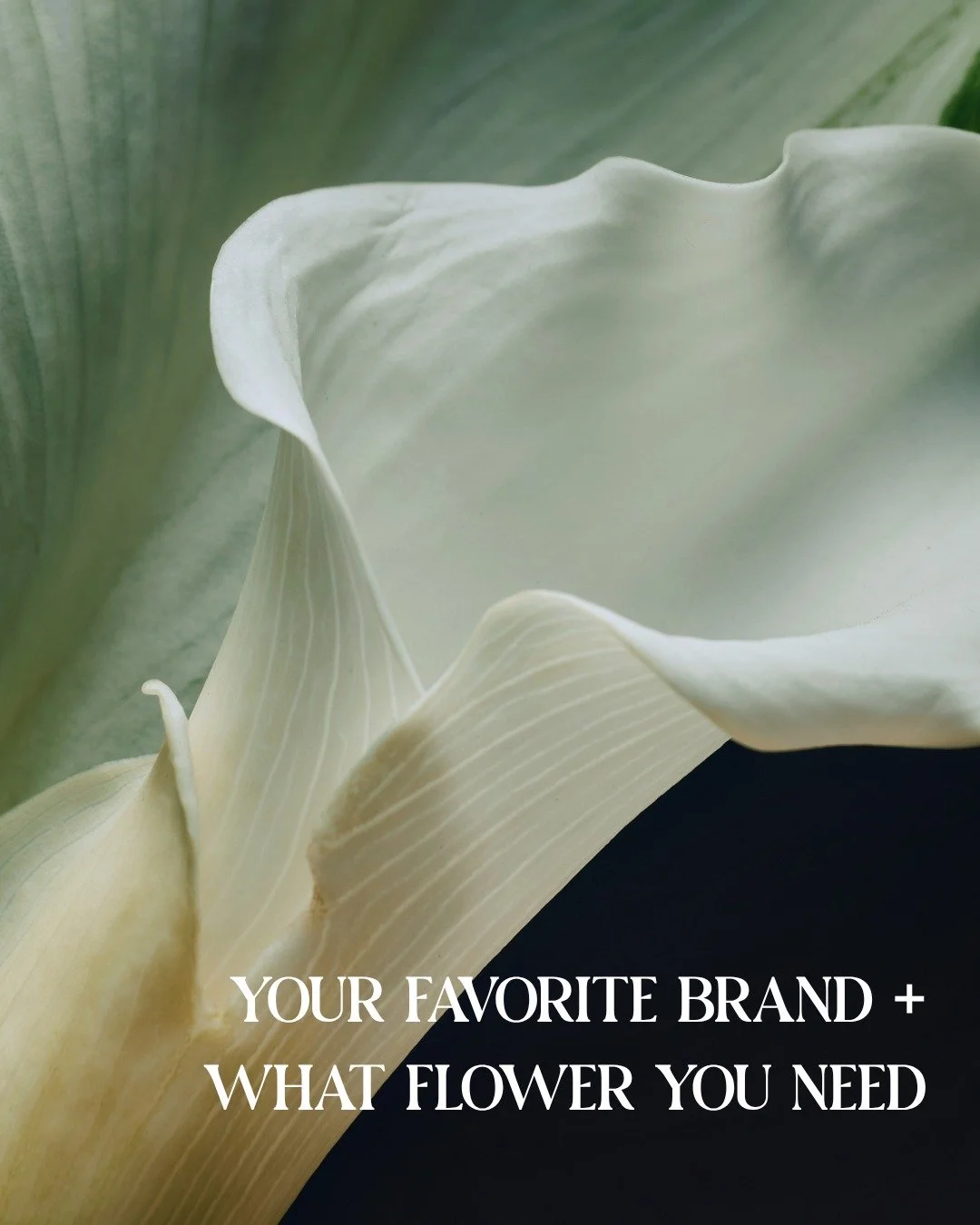 If you like this brand, you&rsquo;ll probably love these flowers too

Different references, same idea. It all comes back to style, texture, and how you want everything to feel

Save this as a starting point for your florals!