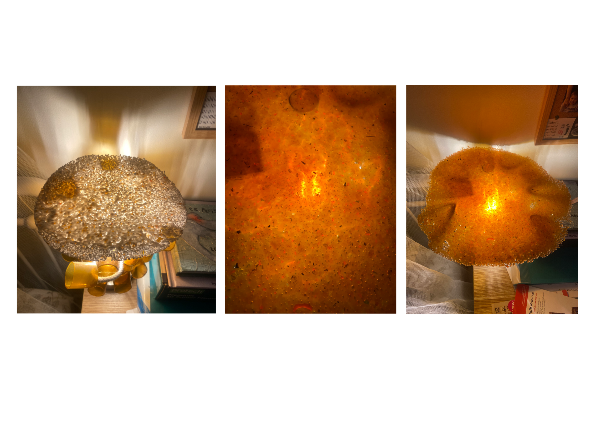 Untitled-Artwork 2 (14).png