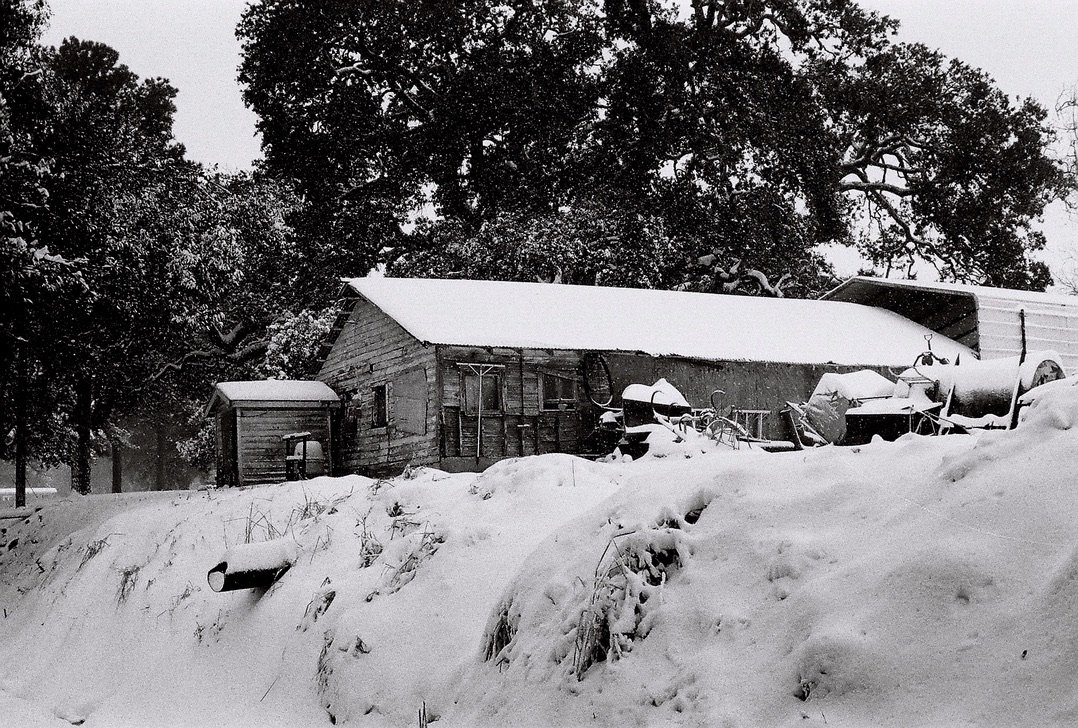 Canon Canonet 28/Ilford HP5 Plus 400