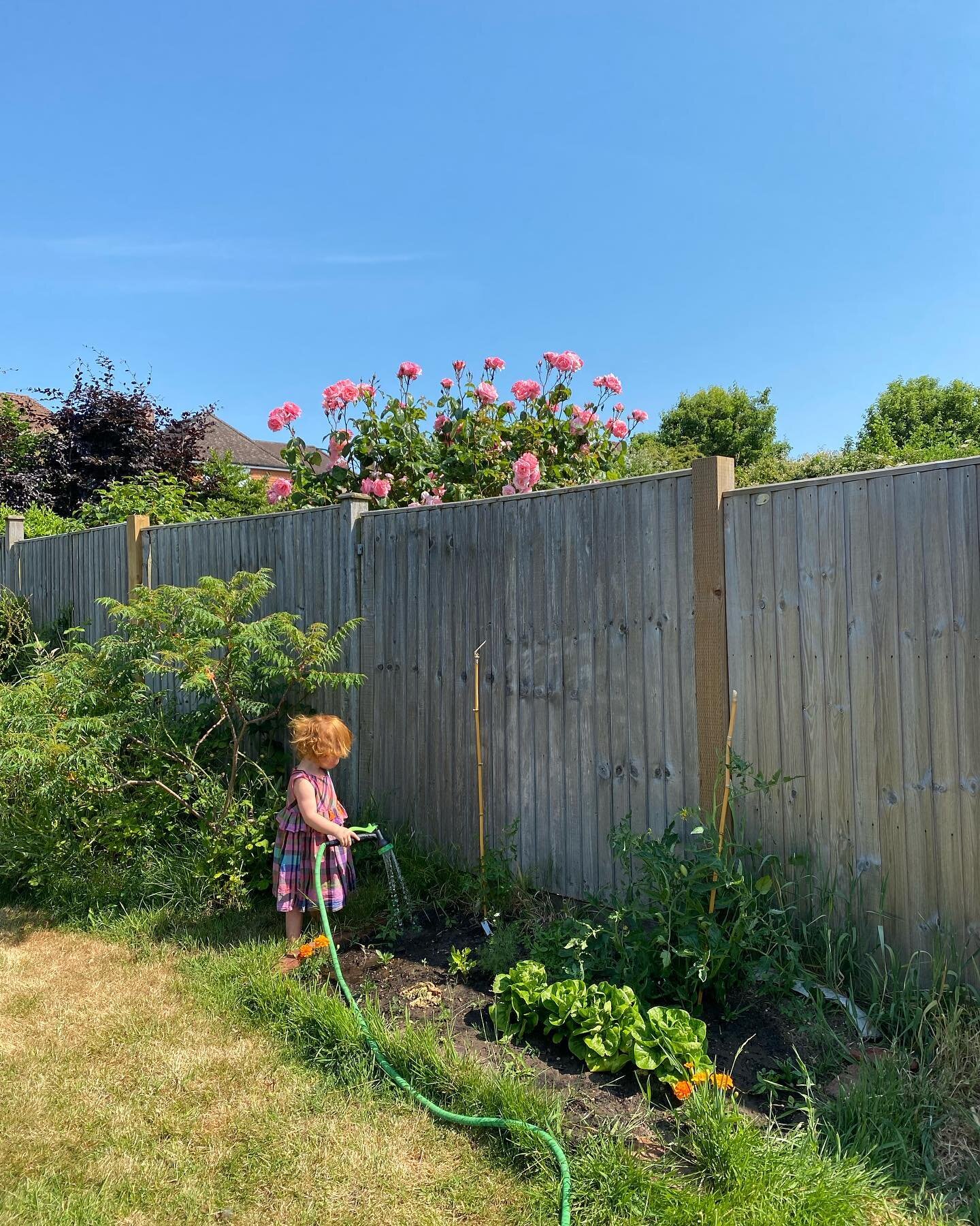 Sweet summer air, fresh sourdough, lettuces from the garden, forest walks, thunder storms, all the strawberries, sunflower fields, play dates, sweet nectarines, watercolour paintings, summer lunches, weekly zero waste store picks, asparagus from the 
