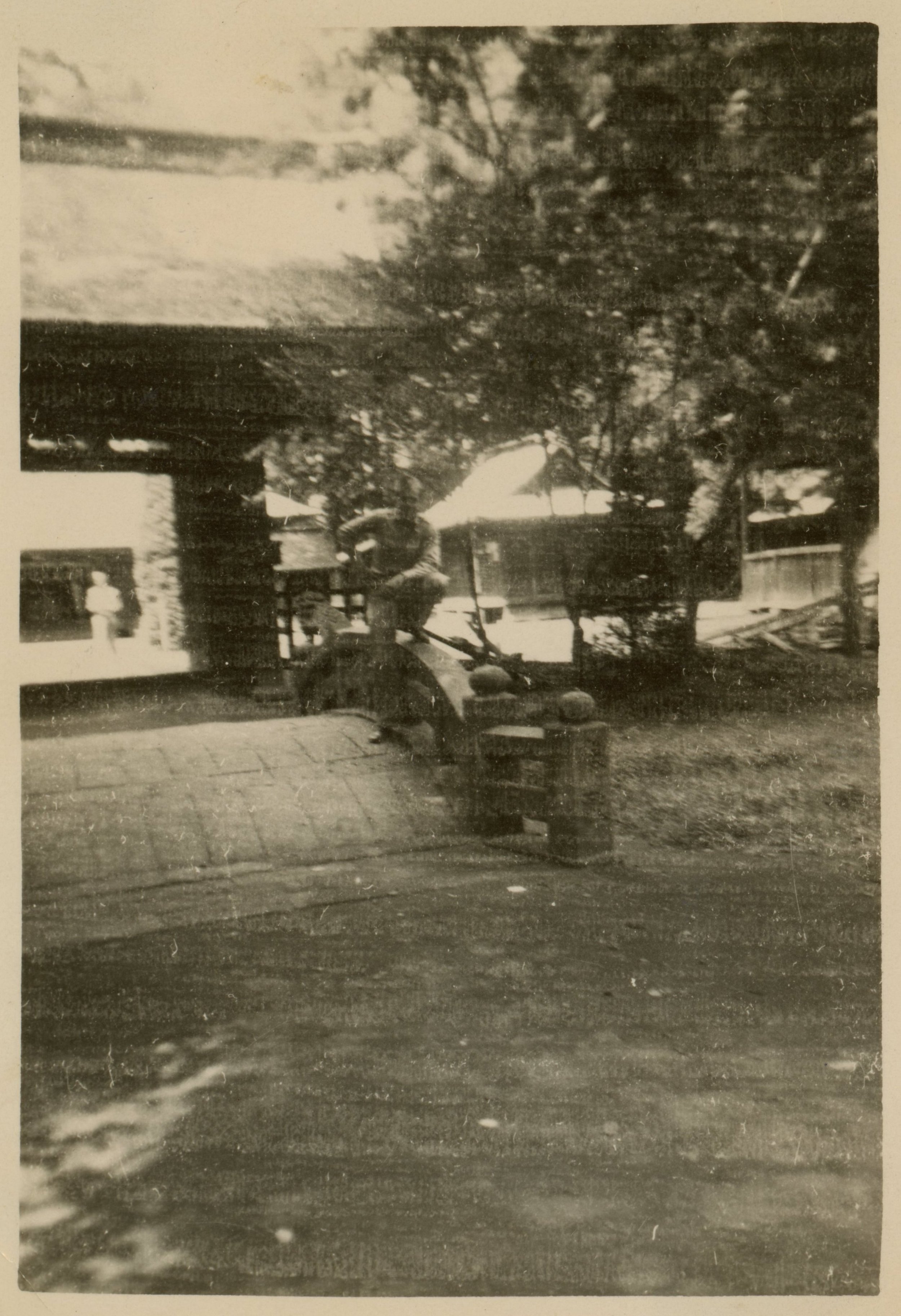Scan181.jpg