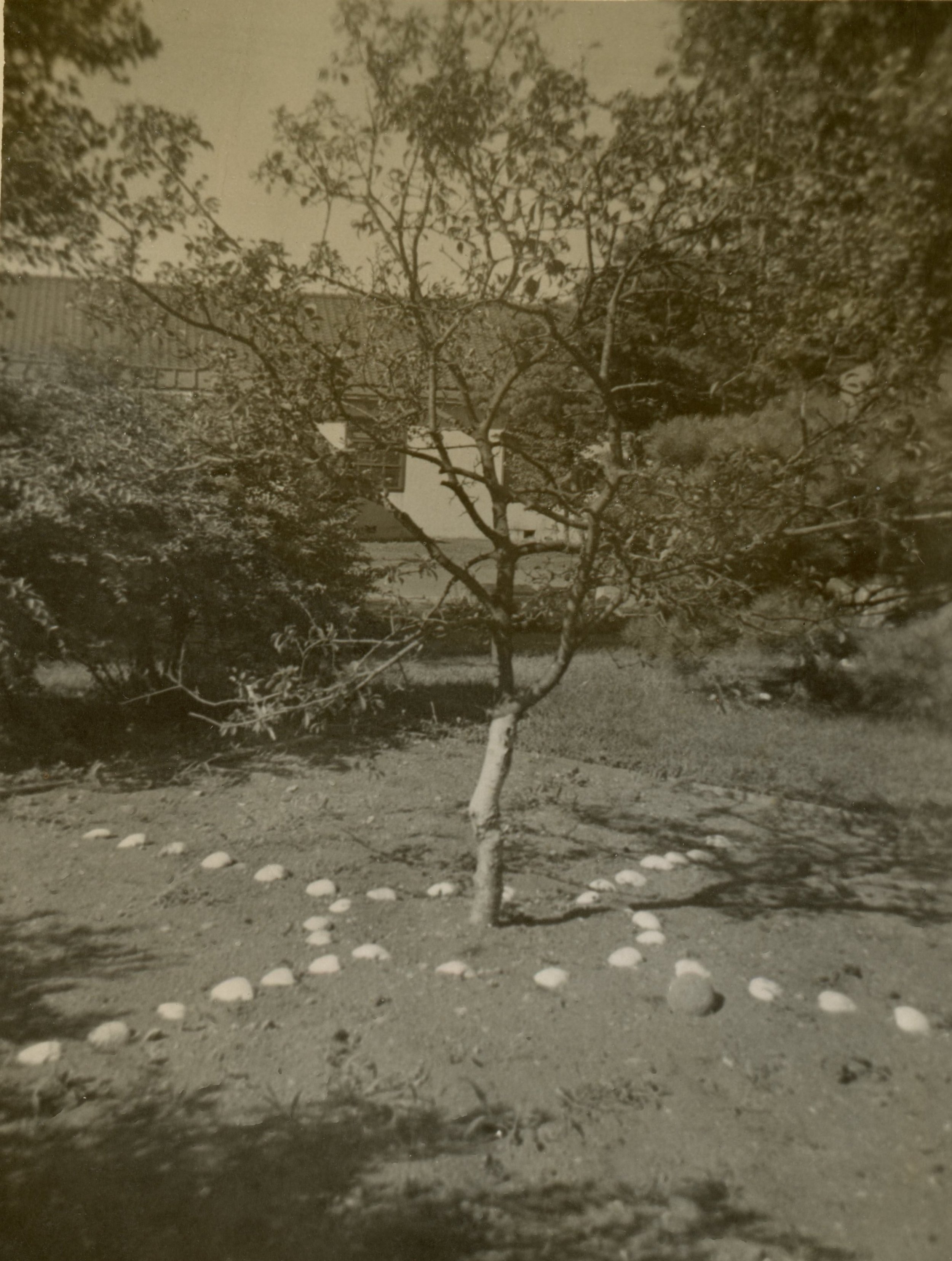 Scan197.jpg