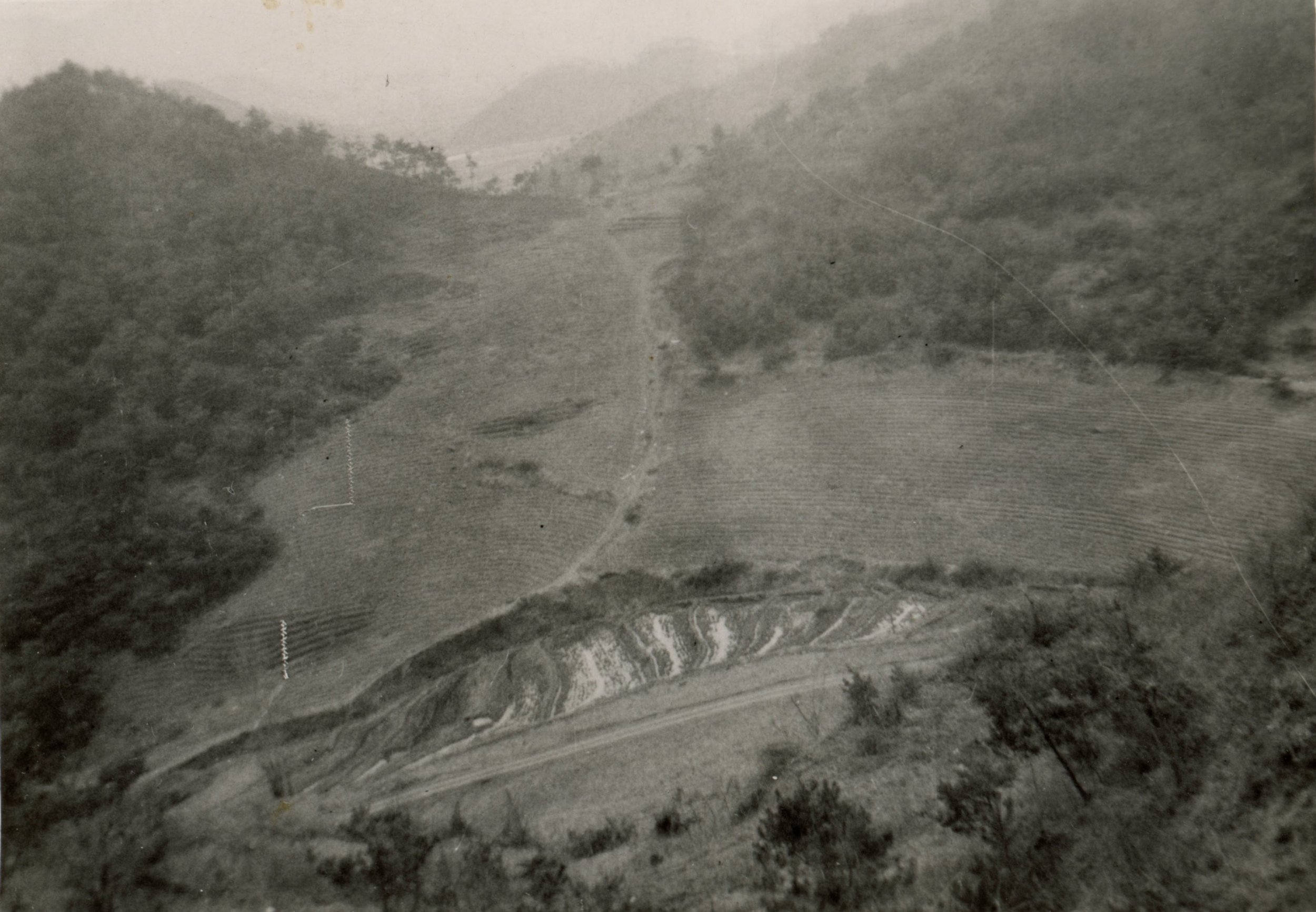 Scan210.jpg