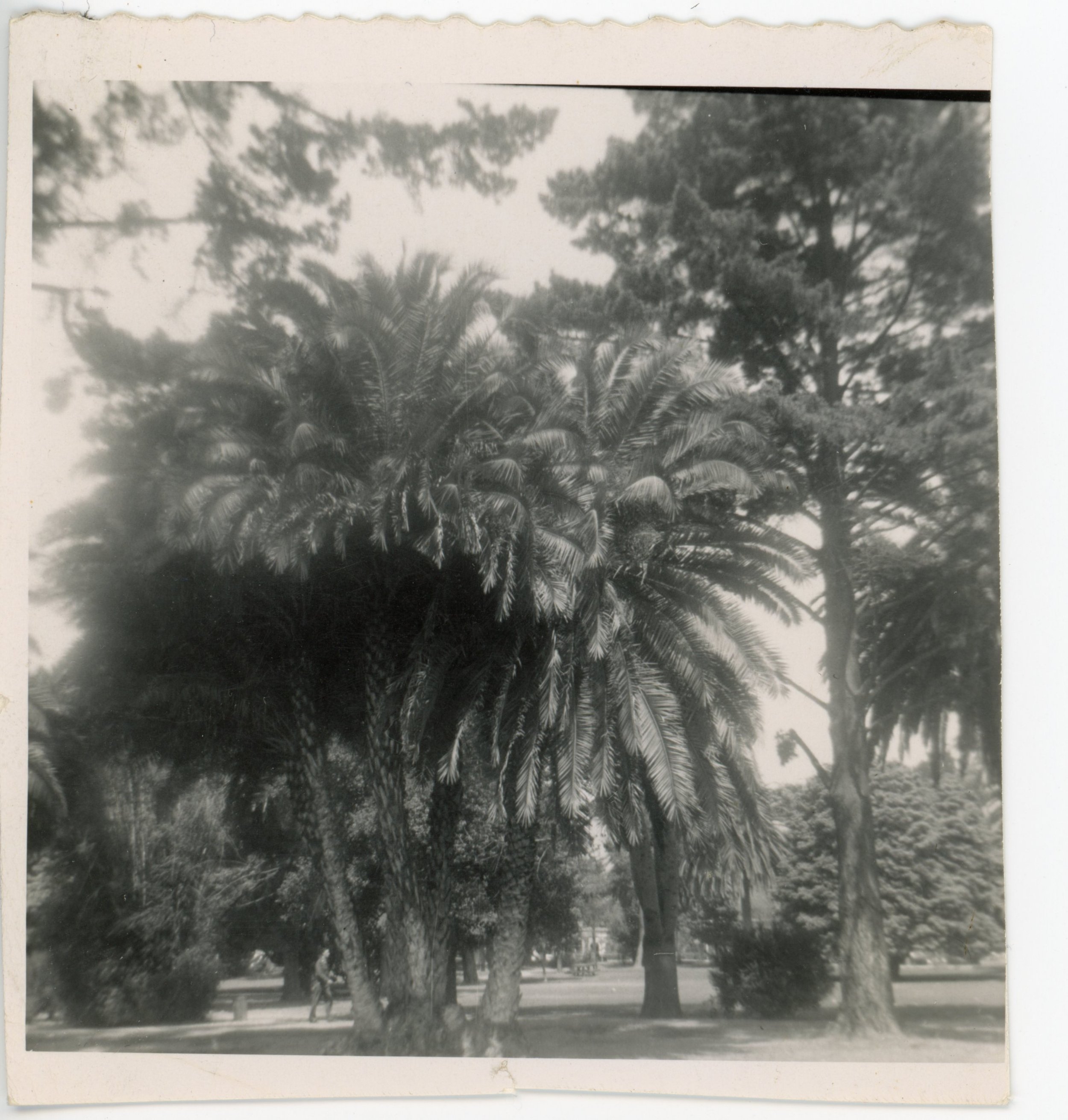 Scan095.jpg