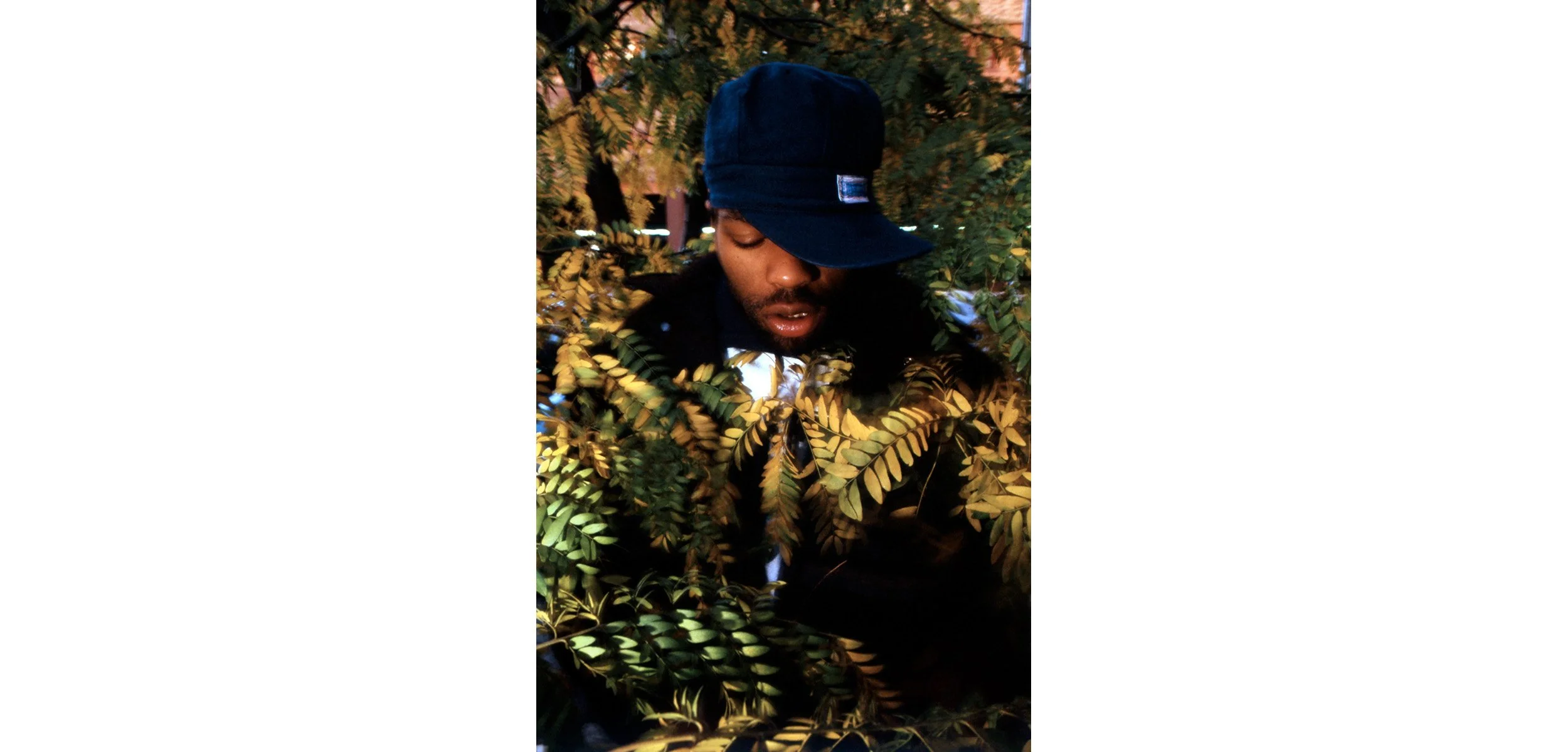 Method Man_tree_3_site_1L.jpg