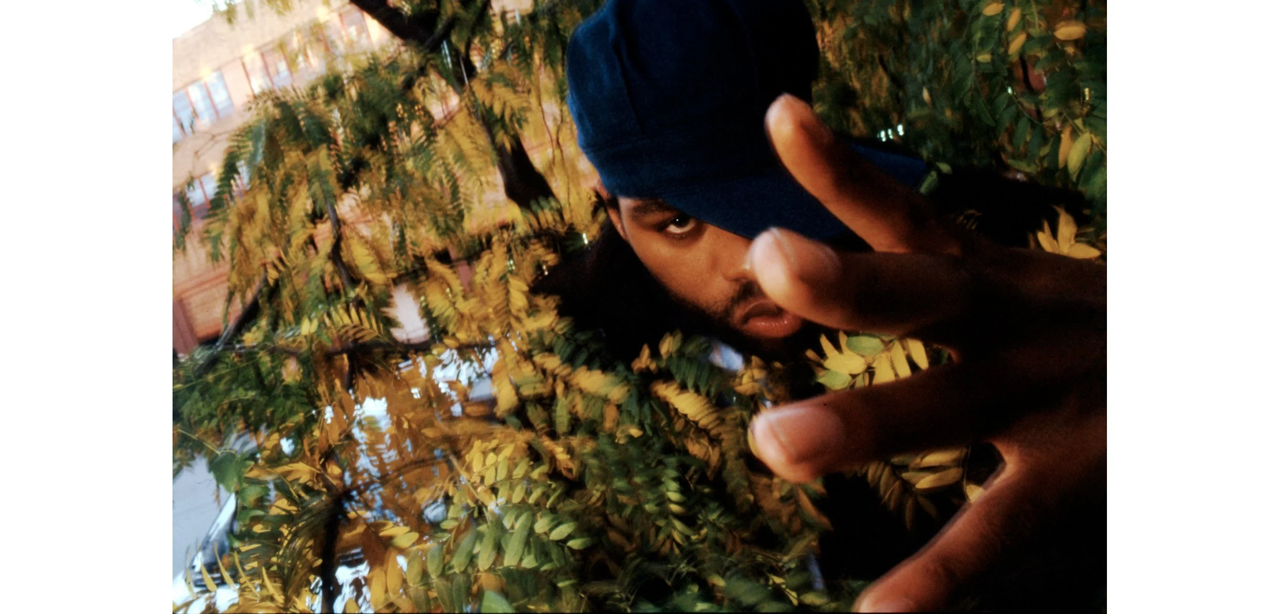 Method Man_tree_2_site_5L.jpg