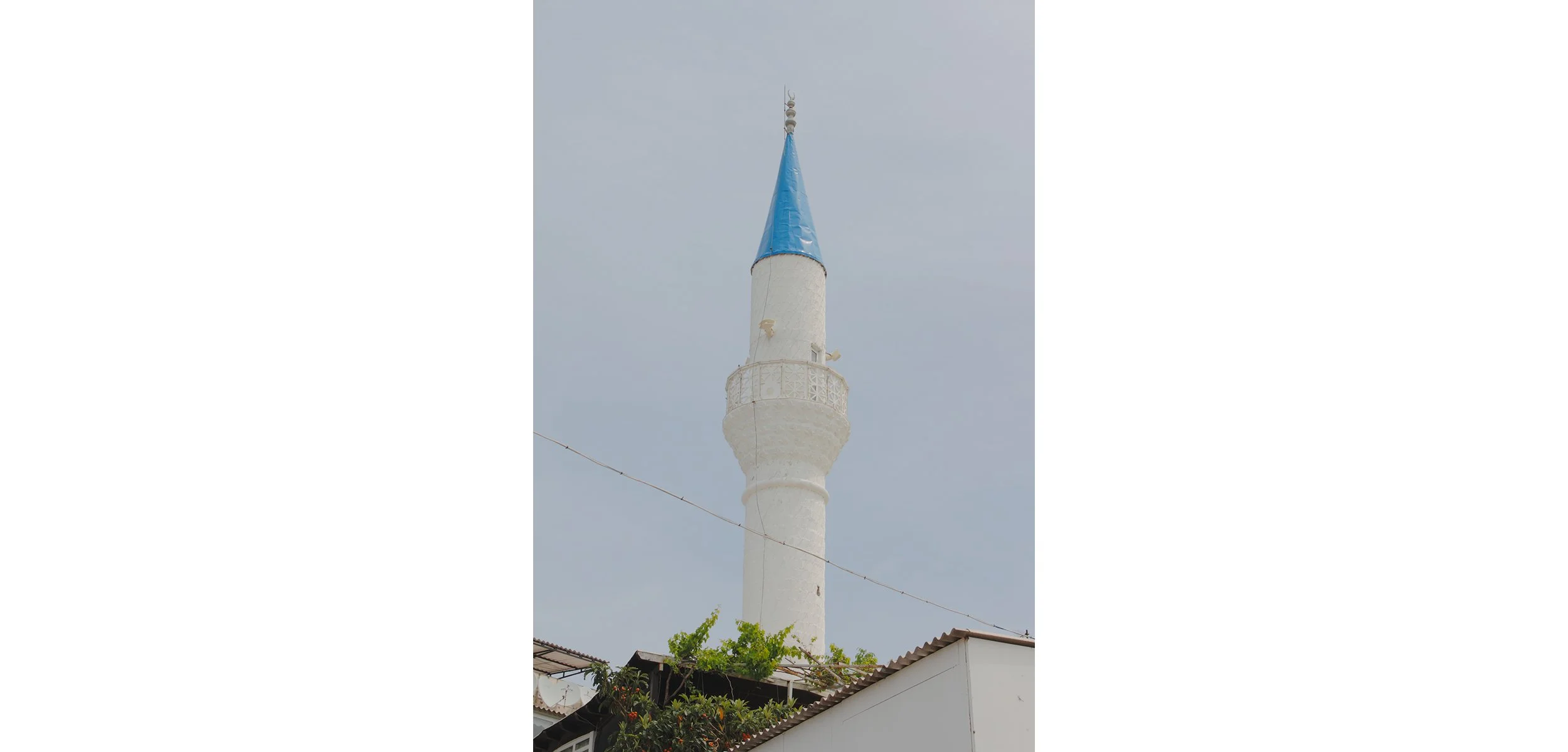 _MG_2209_site_3L.jpg