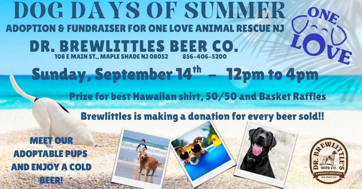 Dog Days of Summer