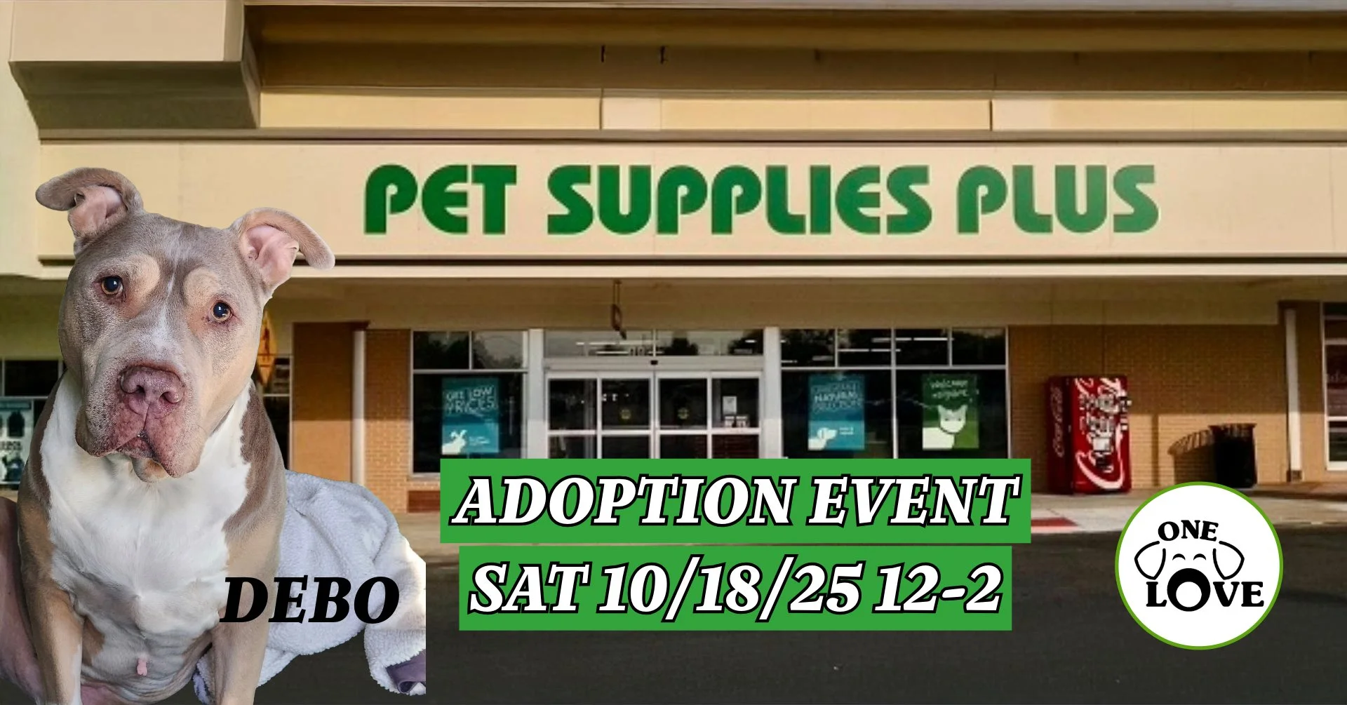 Adoption Event