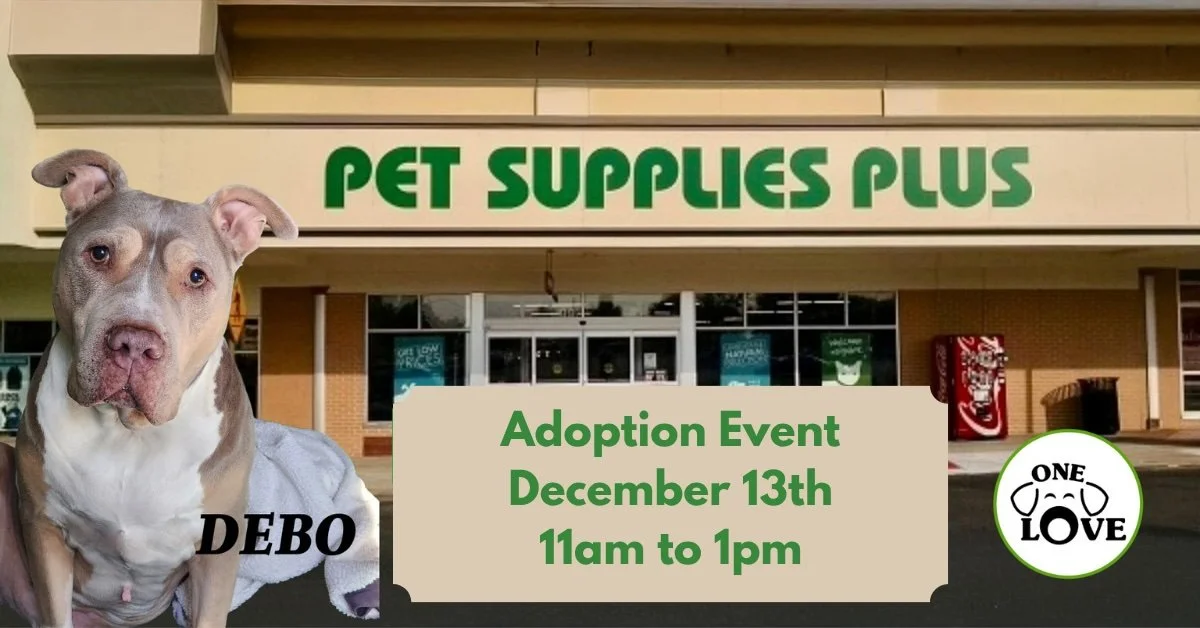 Adoption Event