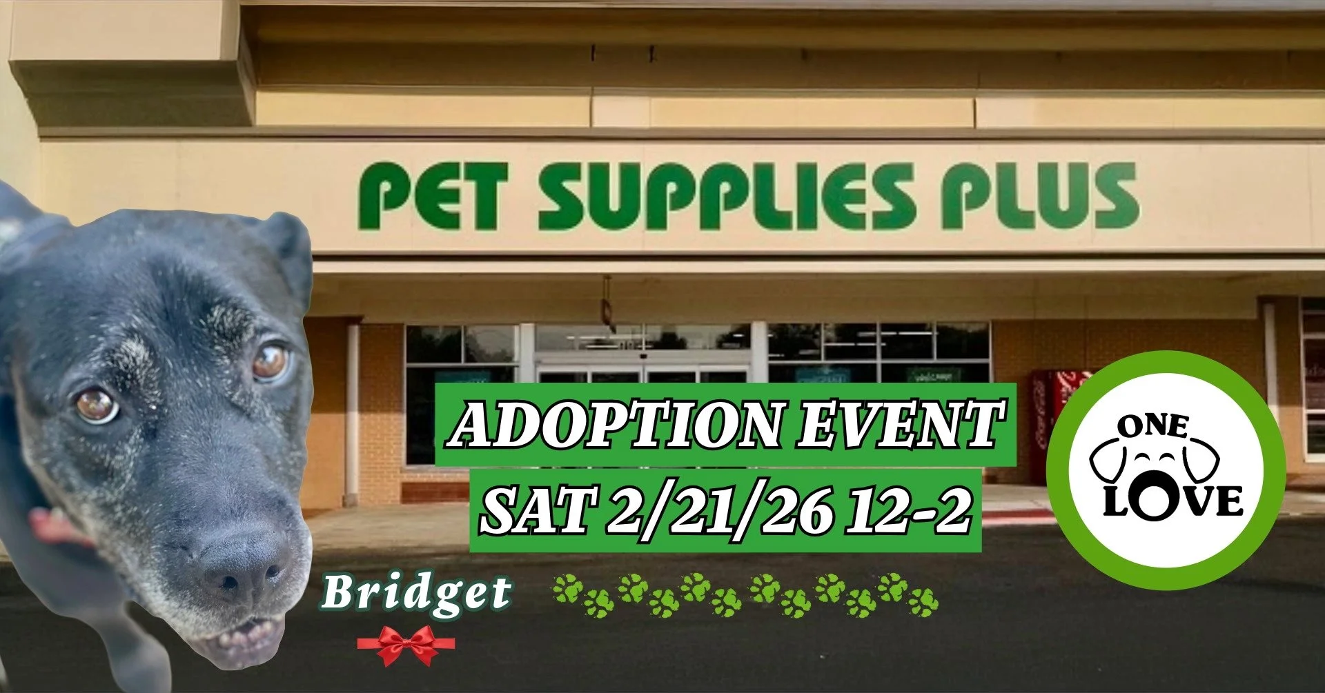 Adoption Event - Pets Supplies Plus