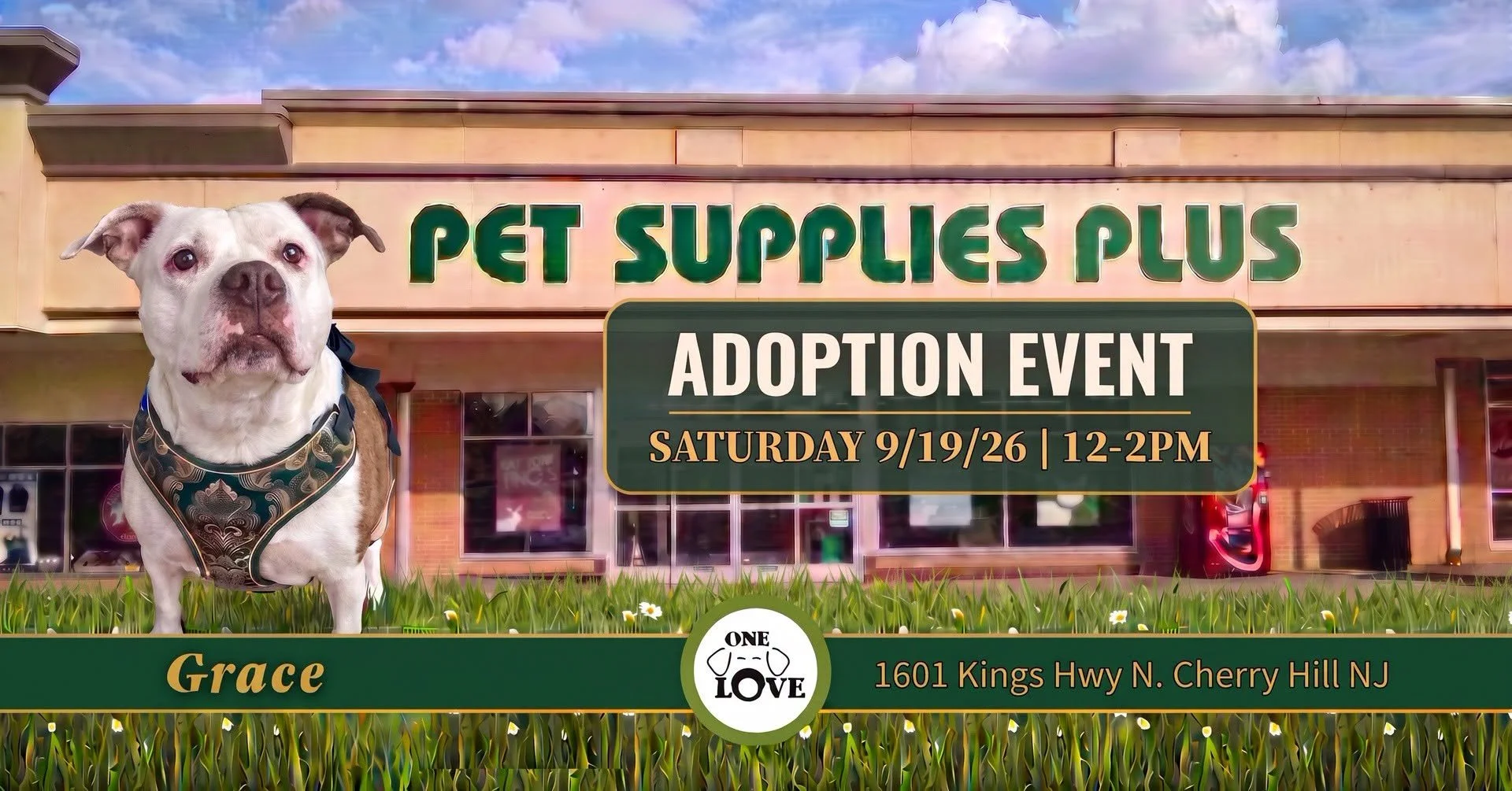 Adoption - Pet Supplies Plus