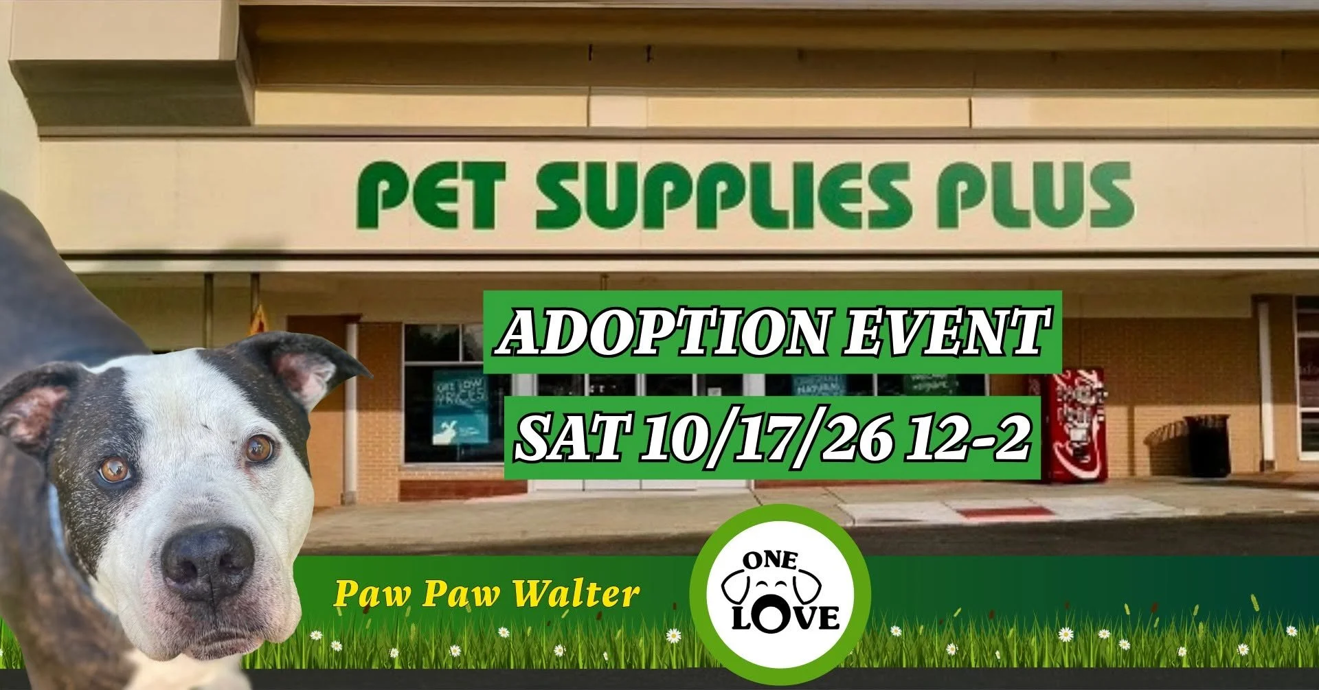 Adoption - Pet Supplies Plus