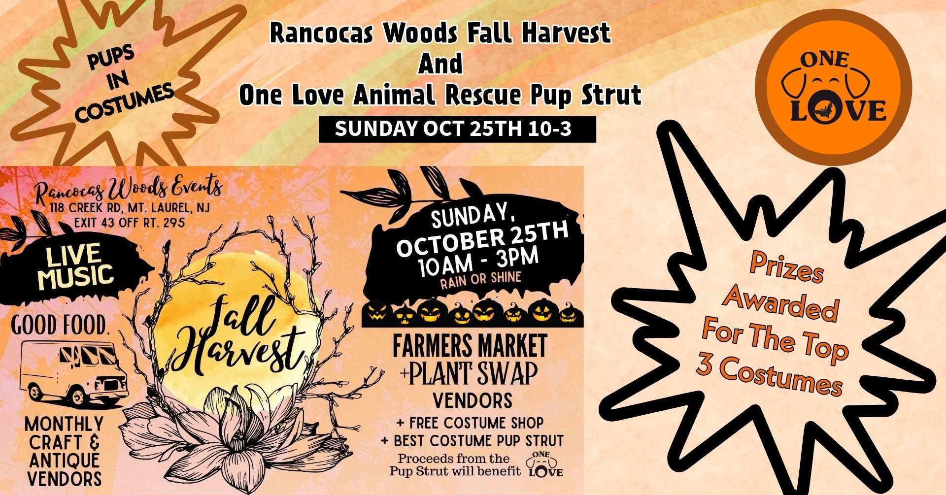 Rancocas Woods - Pup Strut