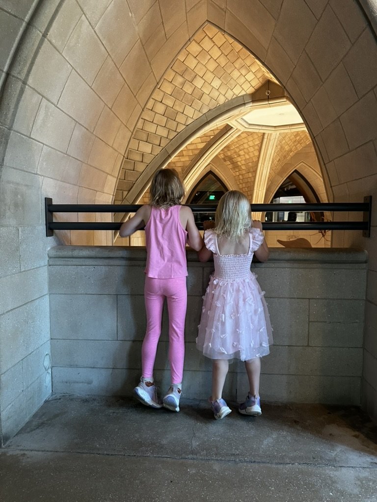 Exploring New Haven.jpeg