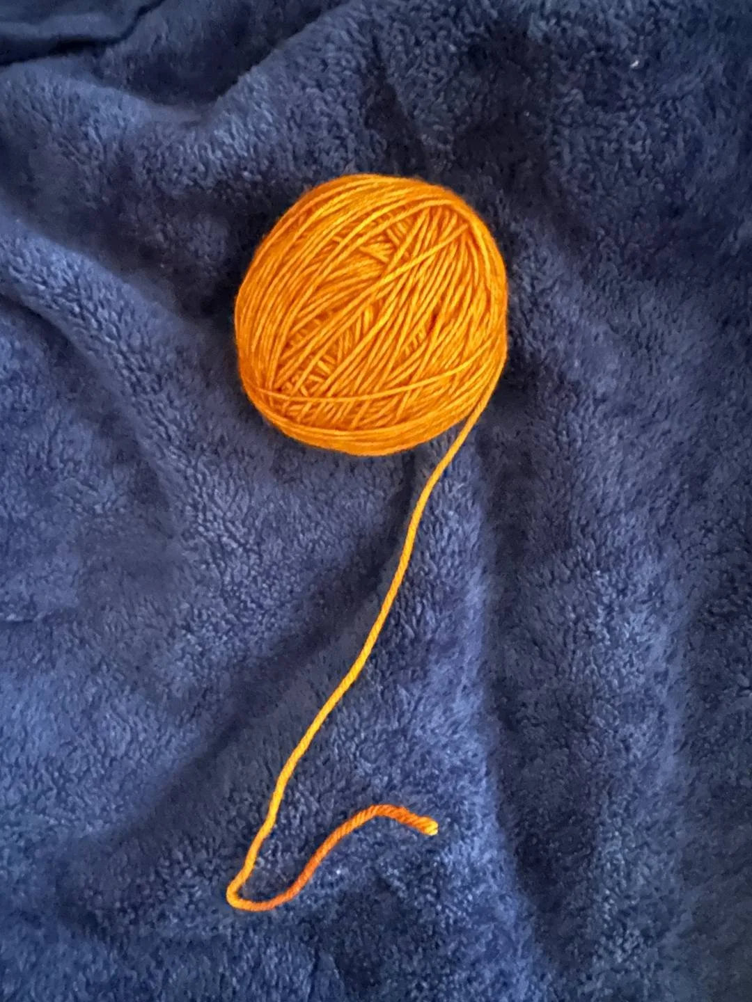 Olivia - Yarn 2.jpeg