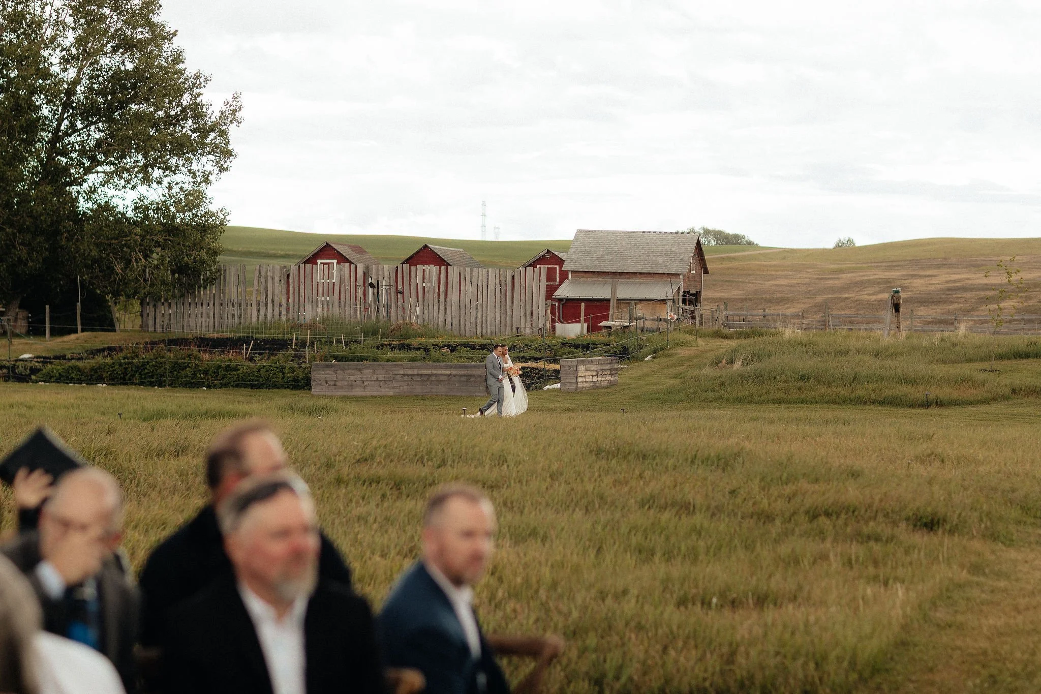 Outdoor wedding ceremony, Calgary, Alberta.