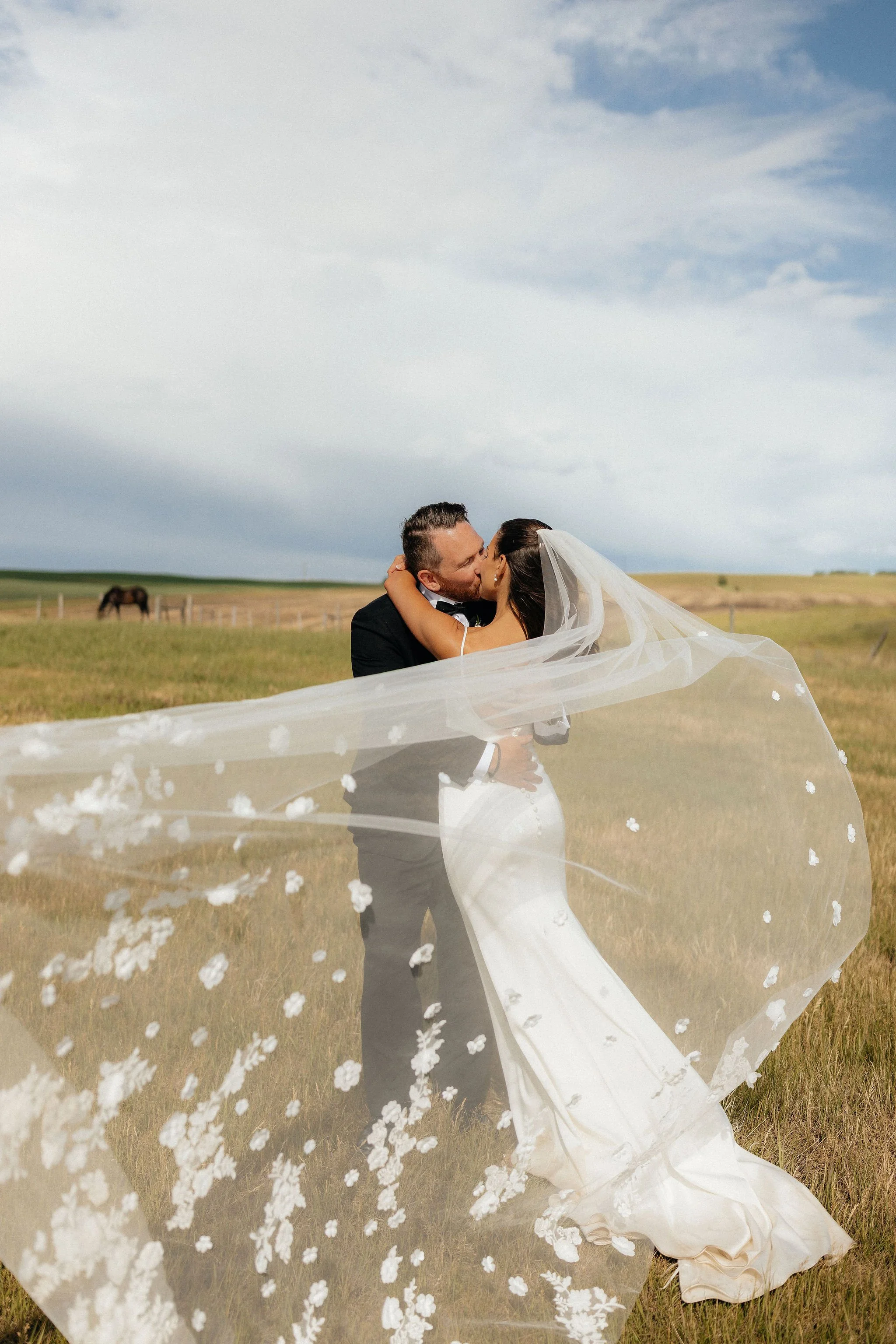 A bride and groom embrace and kiss outdoors on a grassy field, with the bride's veil flowing in the wind and a horse in the background under a partly cloudy sky. Calgary Wedding Venue.
