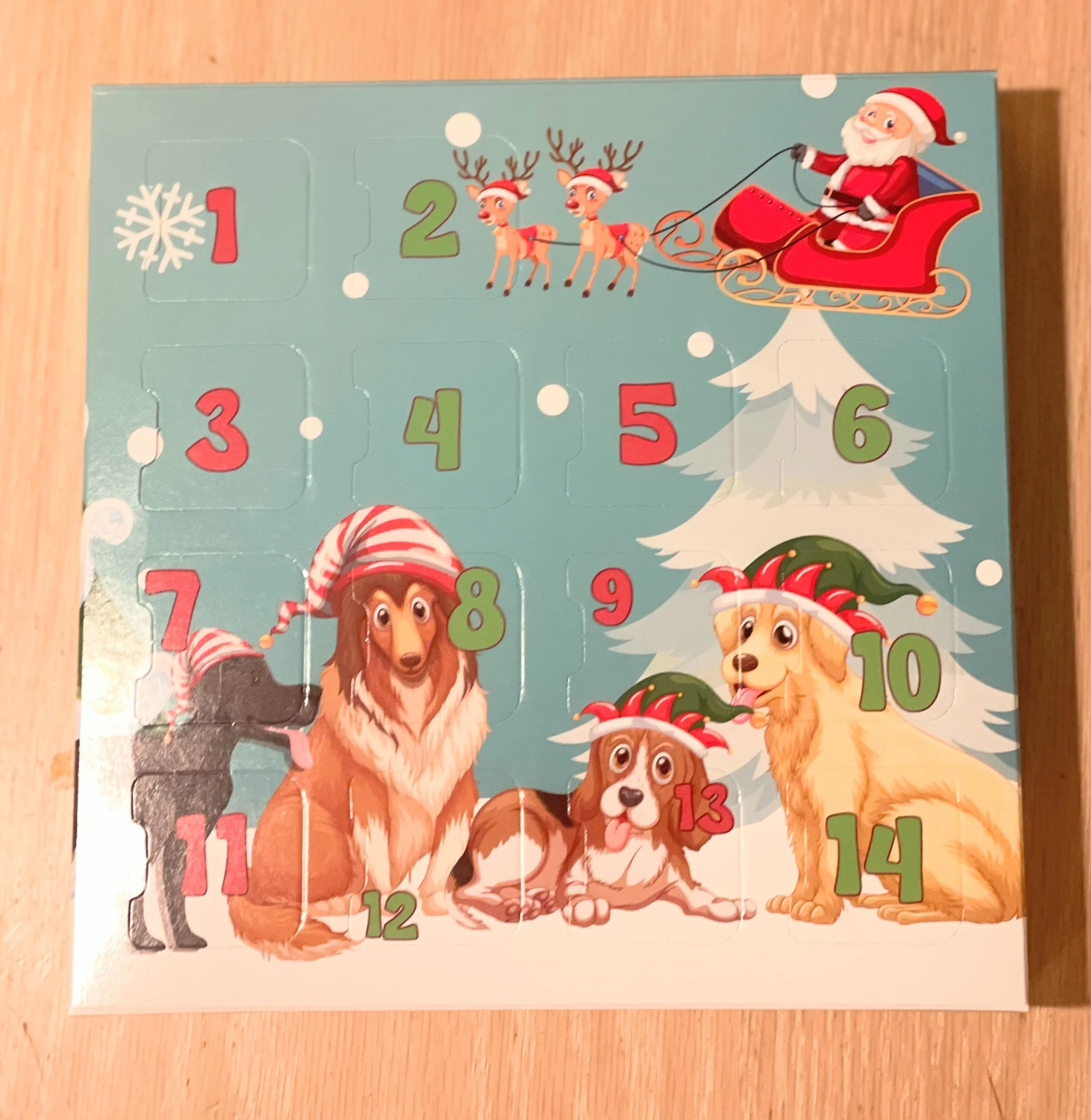 14 Day Dogs and Santa.jpg