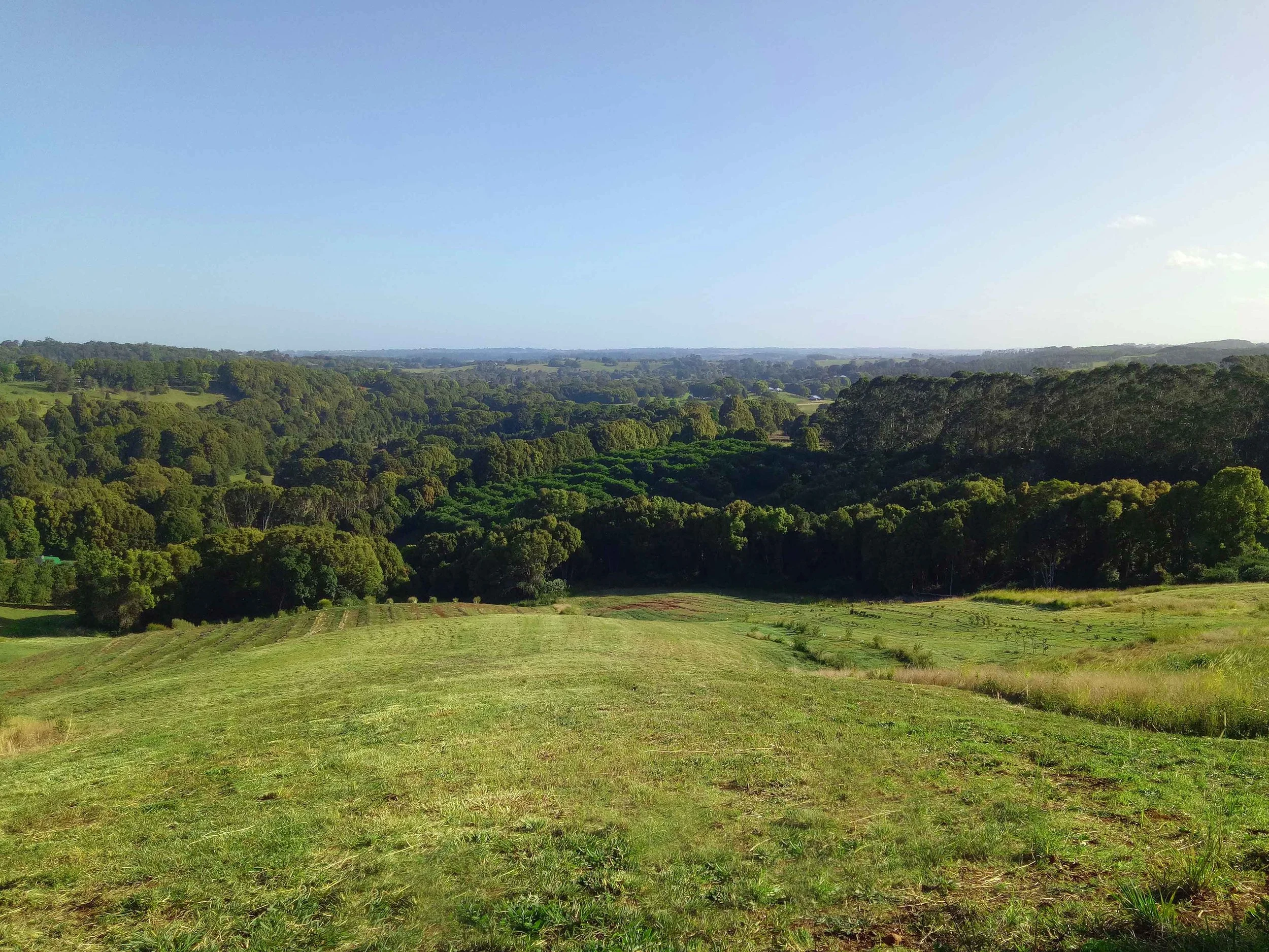 Gracewood-Landscapes-Northern-Rivers-Byron-Bay-paddock-slashing-landscape-maintenance-acreage-mowing-lawn-care.jpg