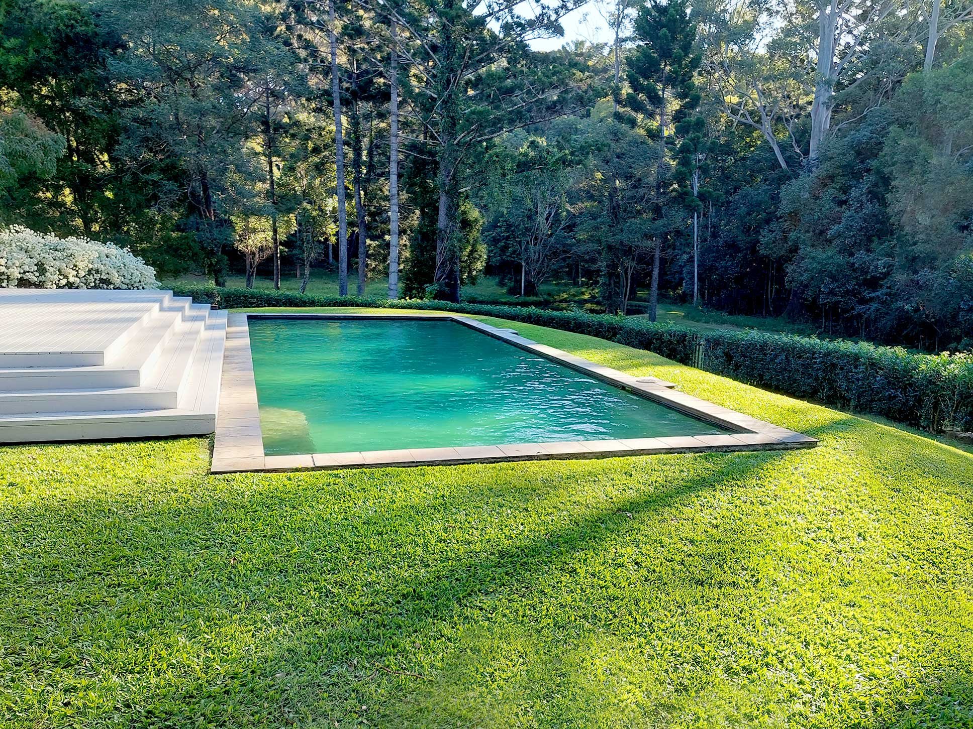 Gracewood-Landscapes-Byron-Bay-Bangalow-Northern-Rivers-Maintenance-Pool-Property-1.jpg