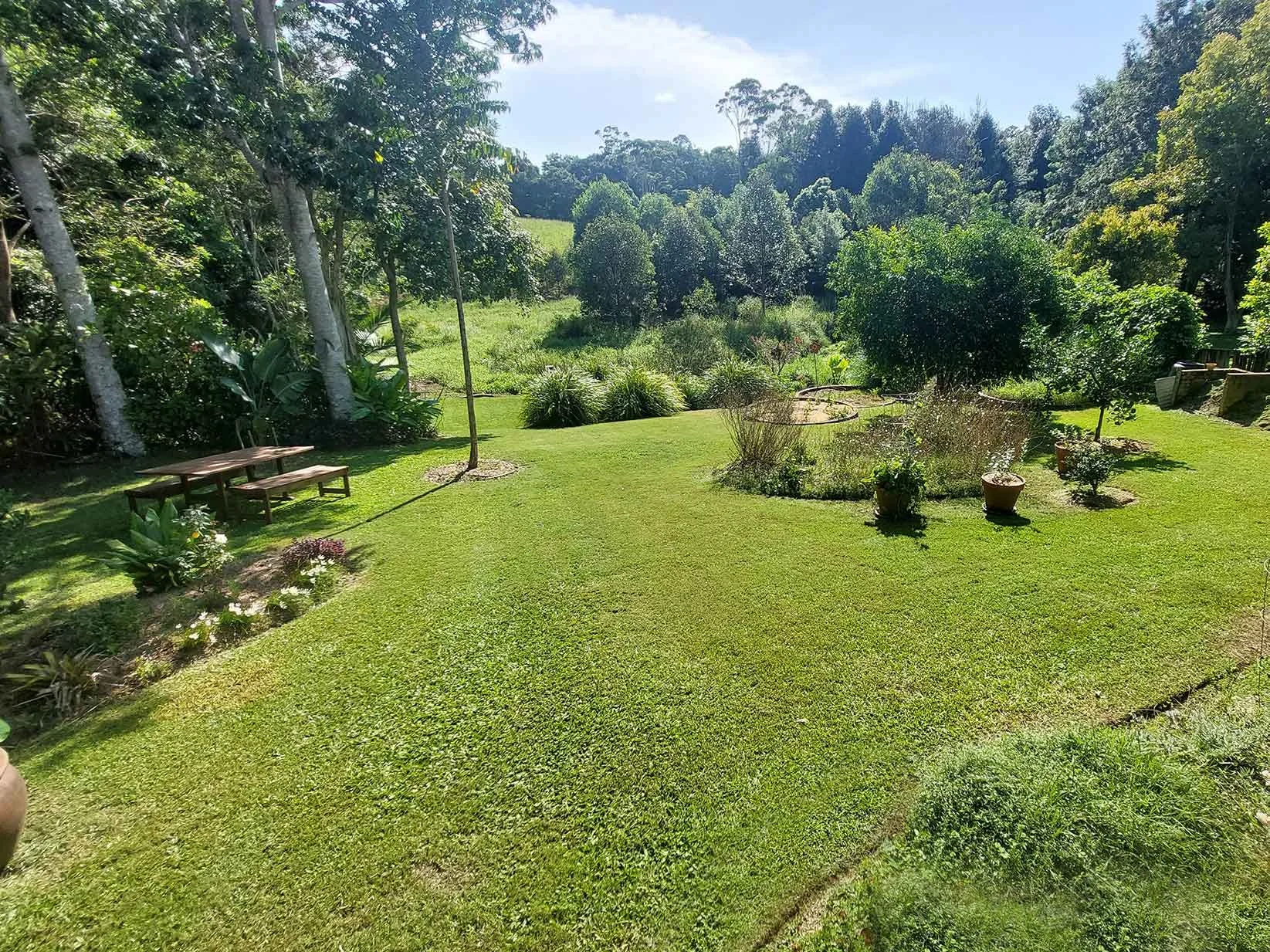 Gracewood-Landscapes-Northern-Rivers-Byron-Bay-Lawn-care-garden-maintenance.jpg