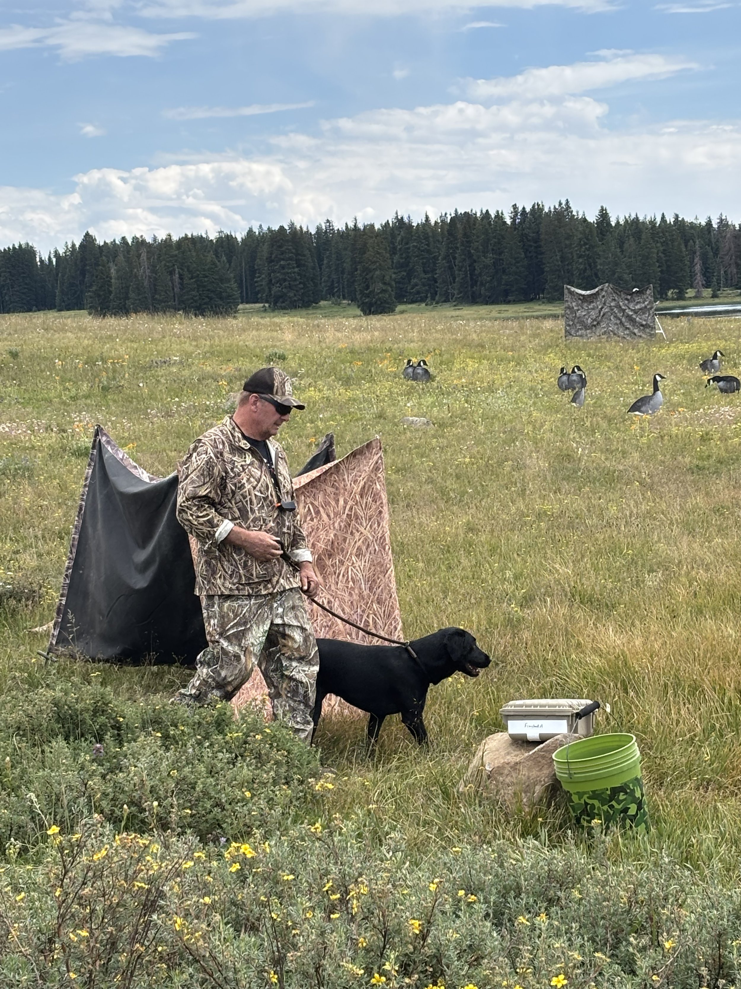 Western Colorado HRC Hunt Test July 20, 2025 - Brent Cozzolino & Cash