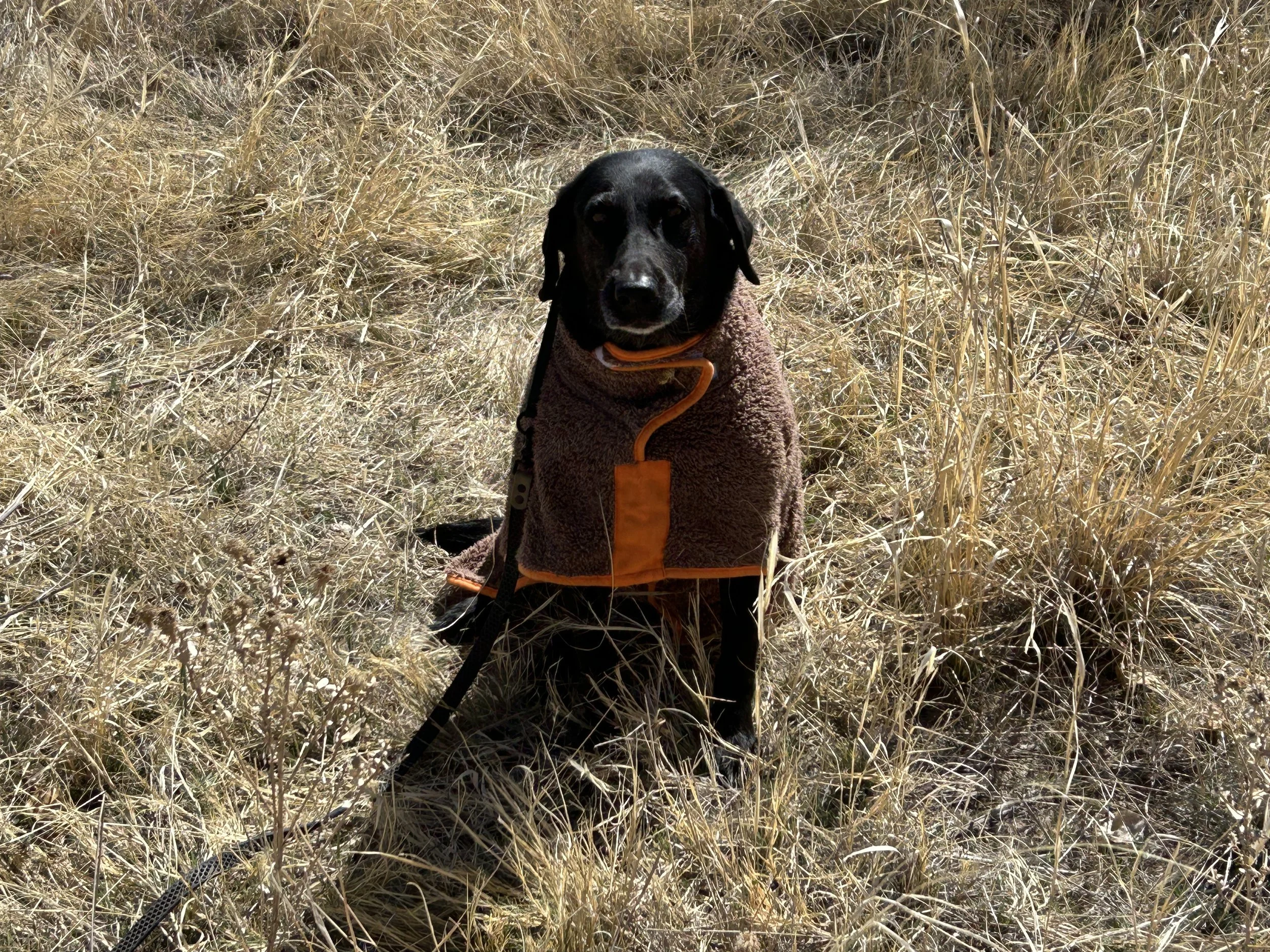 April 4, 2026 Training Day