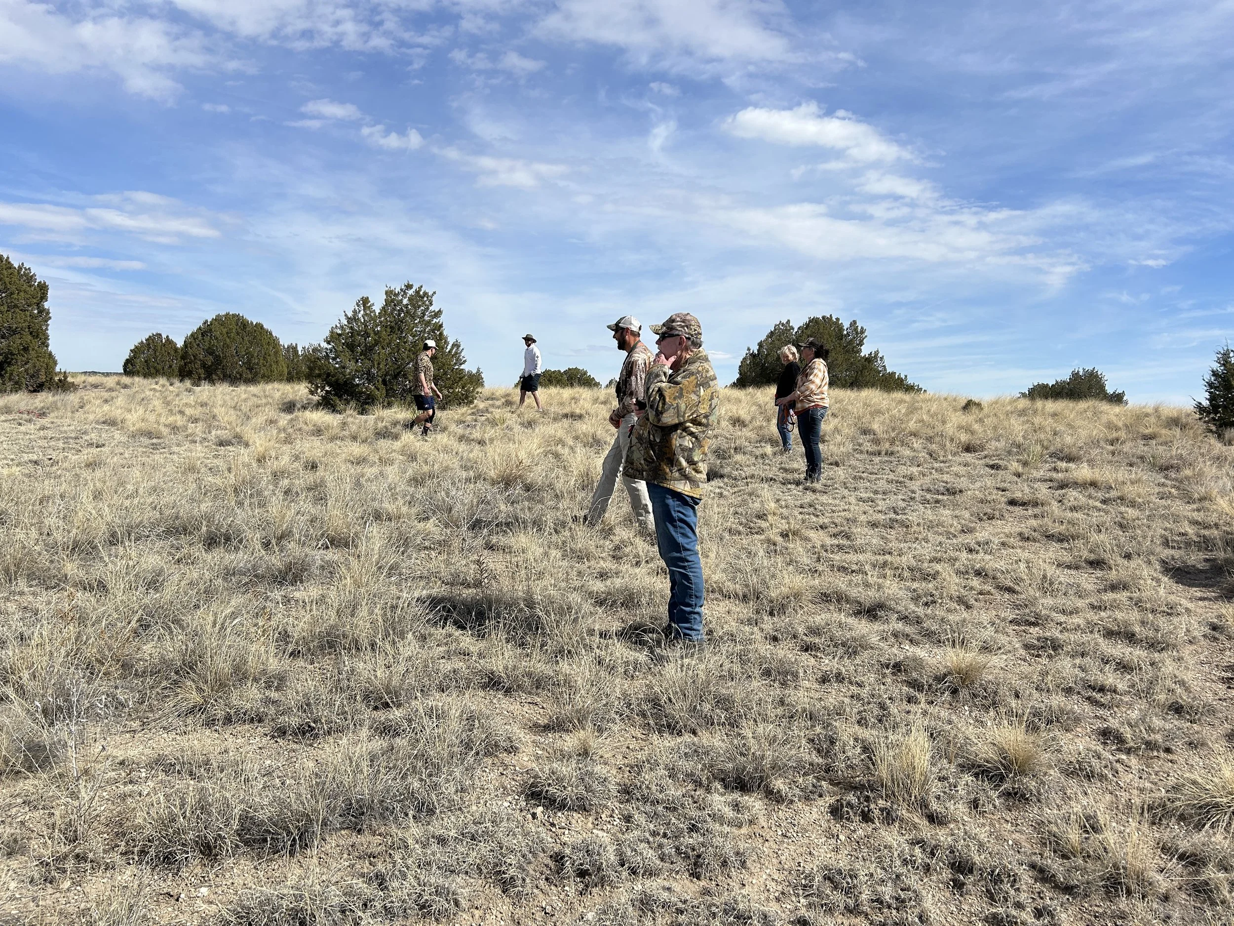 March 1, 2026 Training Day - Started Obedience 