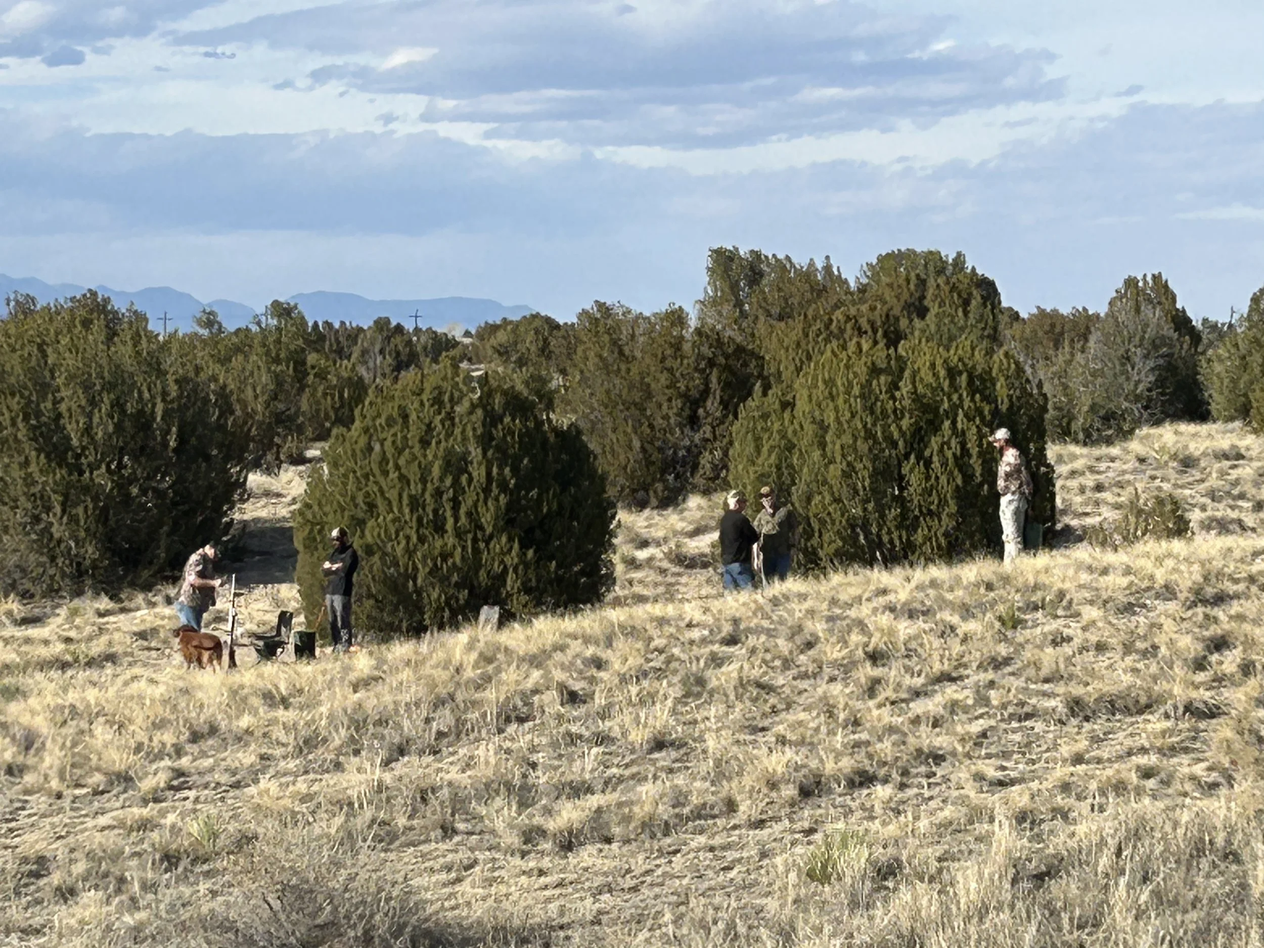 March 1, 2026 Training Day - Finished setup