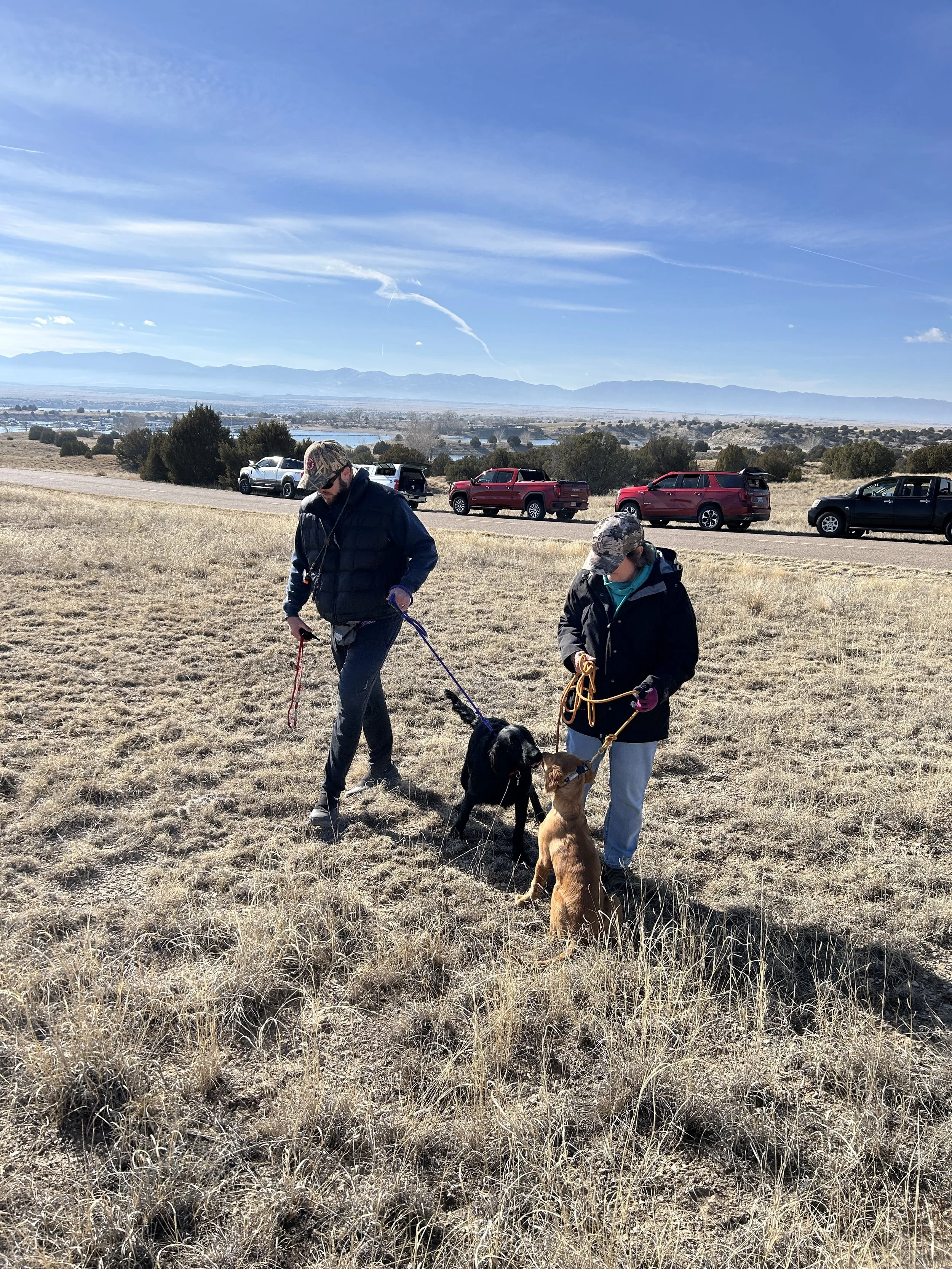 January 31, 2026 Training Day - Daniel Ballard - Dorthy Plumer