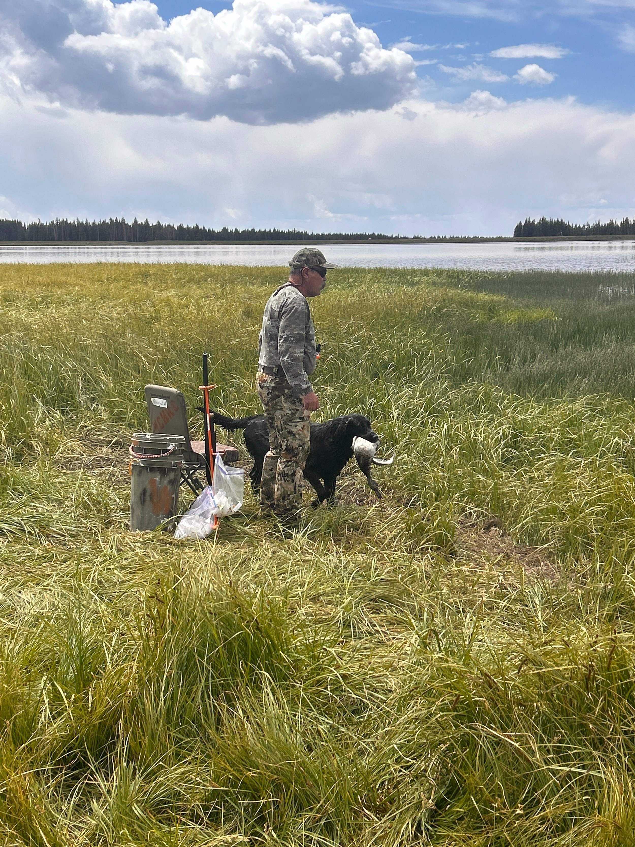 Western Colorado HRC Hunt Test July 20, 2025 - Congratulations to Brian Schumann & Maverick for achieving 500 points!!