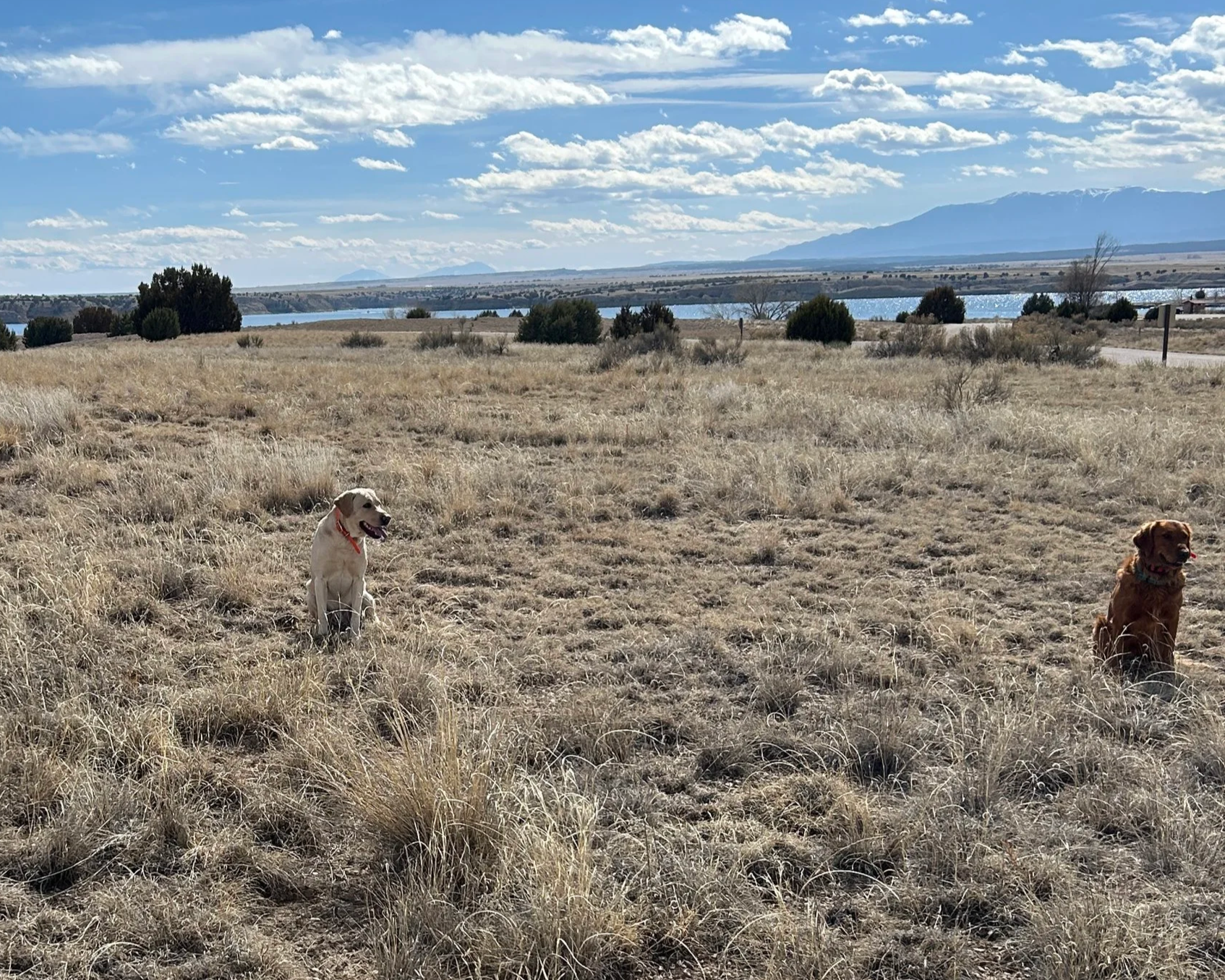 March 1, 2026 Training Day - Breck & Ben