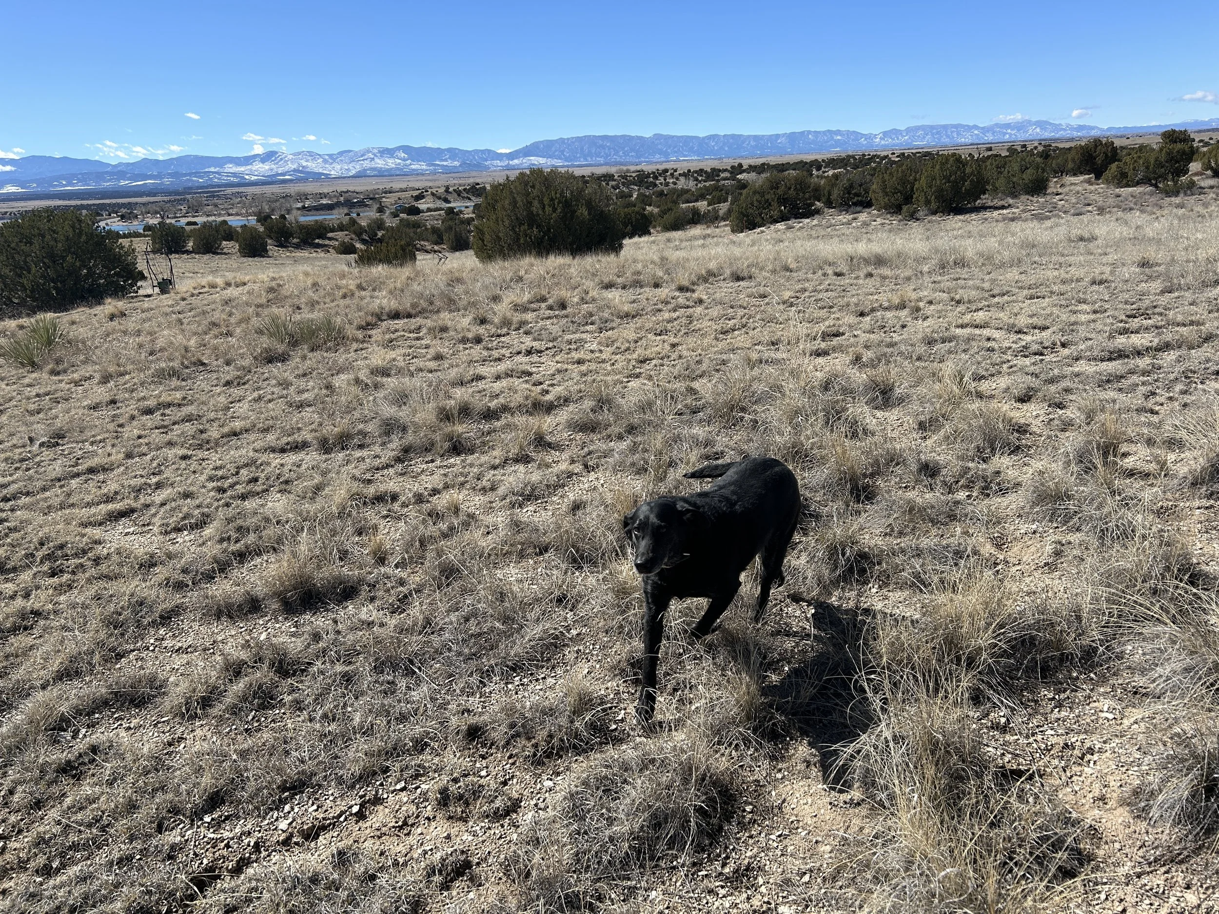 March 7, 2026 Training Day - Chris Coppa & Mackey enjoying a beautiful day at Juniper Breaks